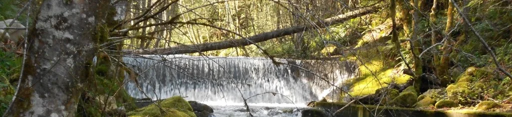 holland creek 1.jpg