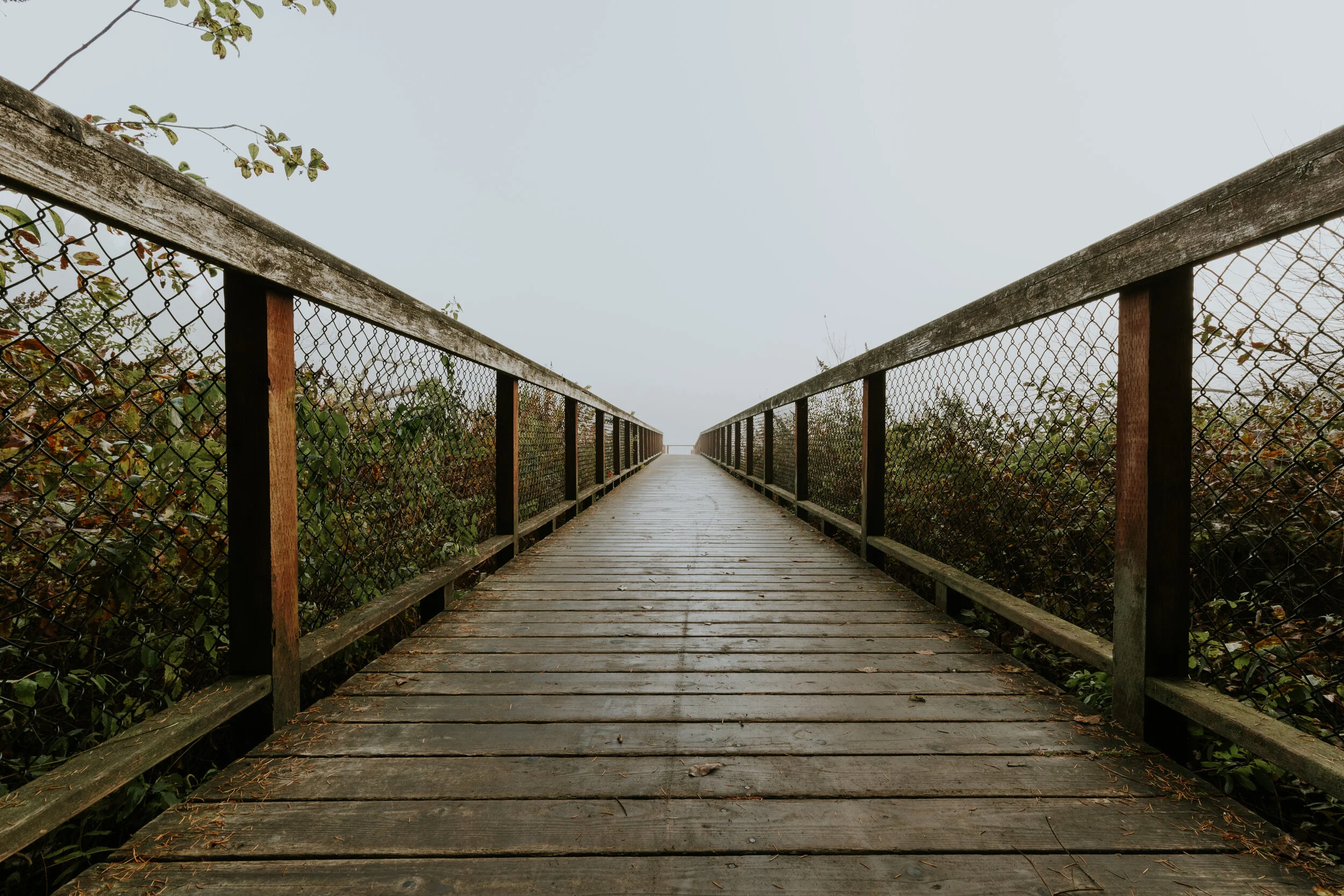 Foggy Bridge
