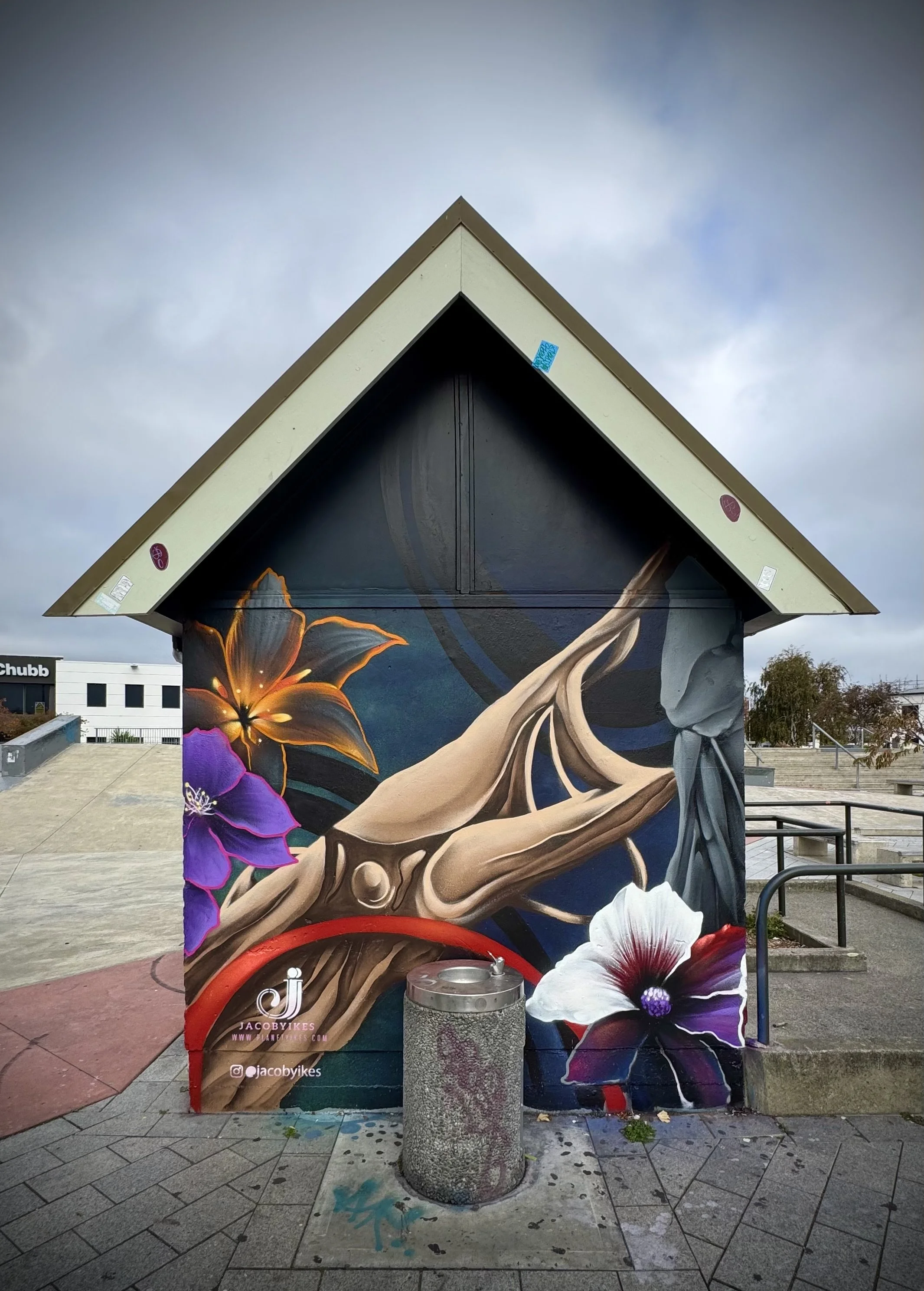 washington skate park side 1 chch