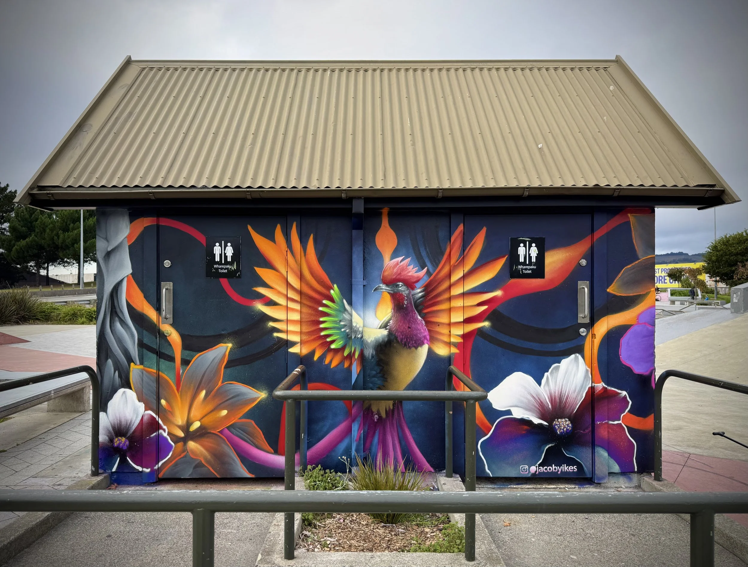 washington skate park back chch