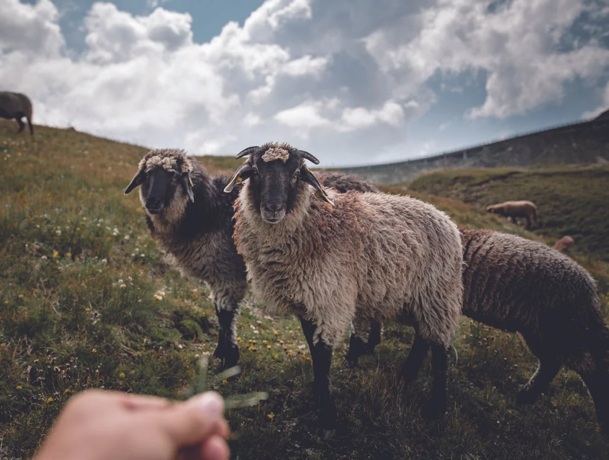 A Guide to Meaningful Travel