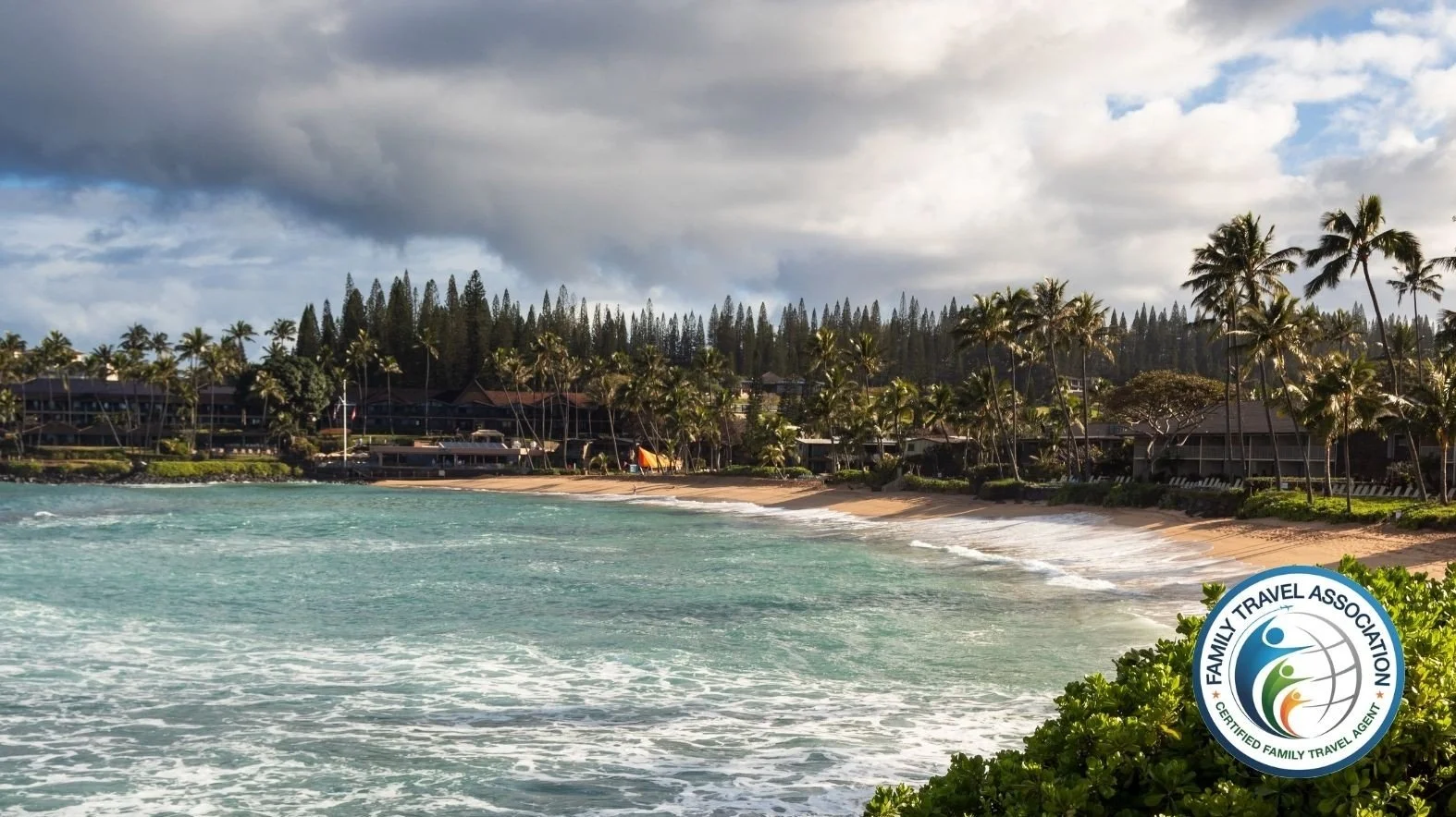 Why Families Are Returning to Hawaii