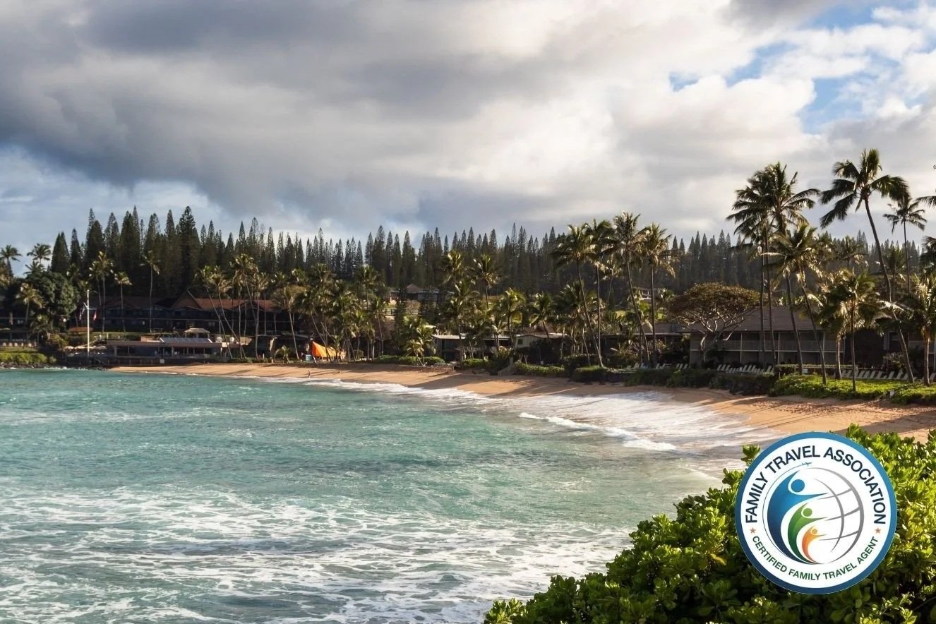 Why Families Are Returning to Hawaii