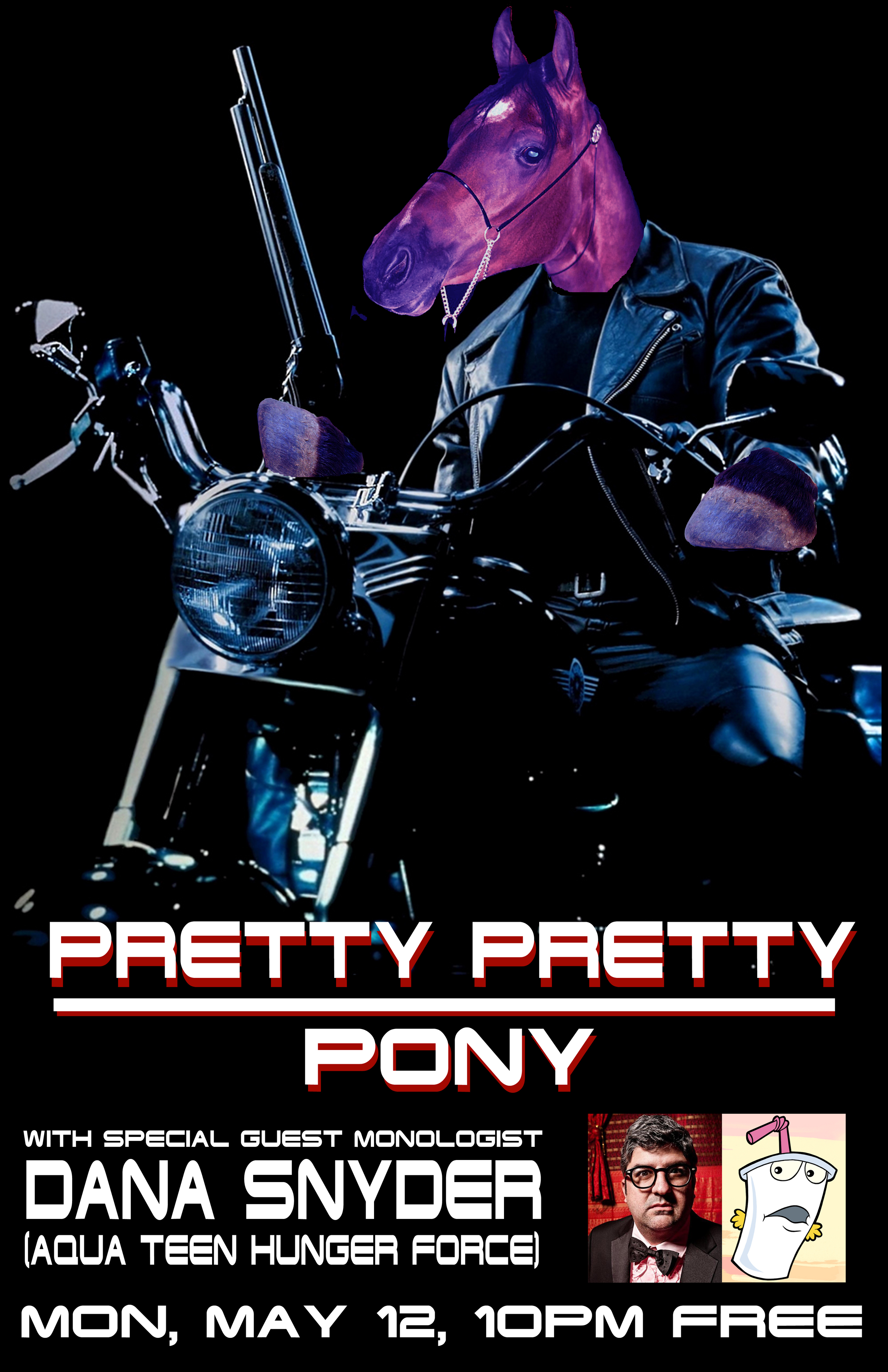 pony T2.jpg