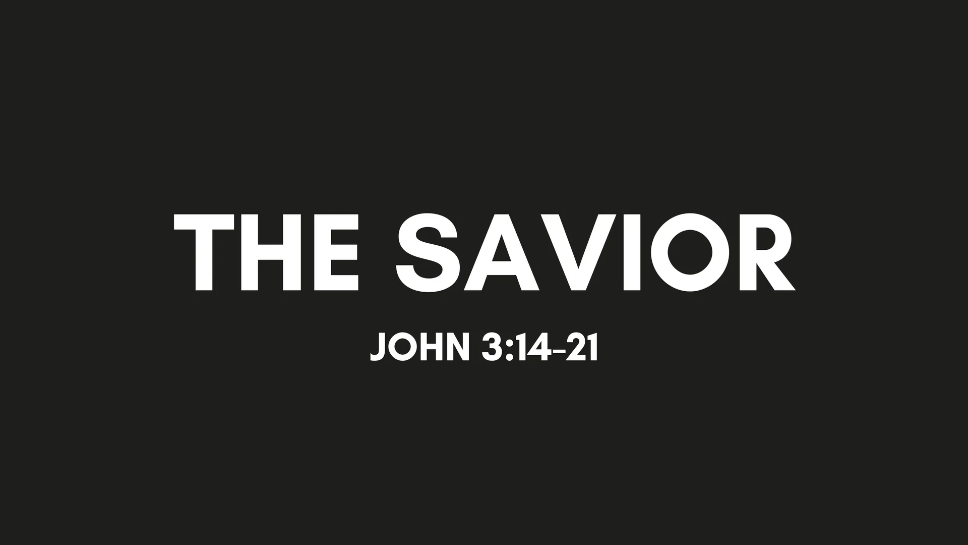 THE SAVIOR.jpg