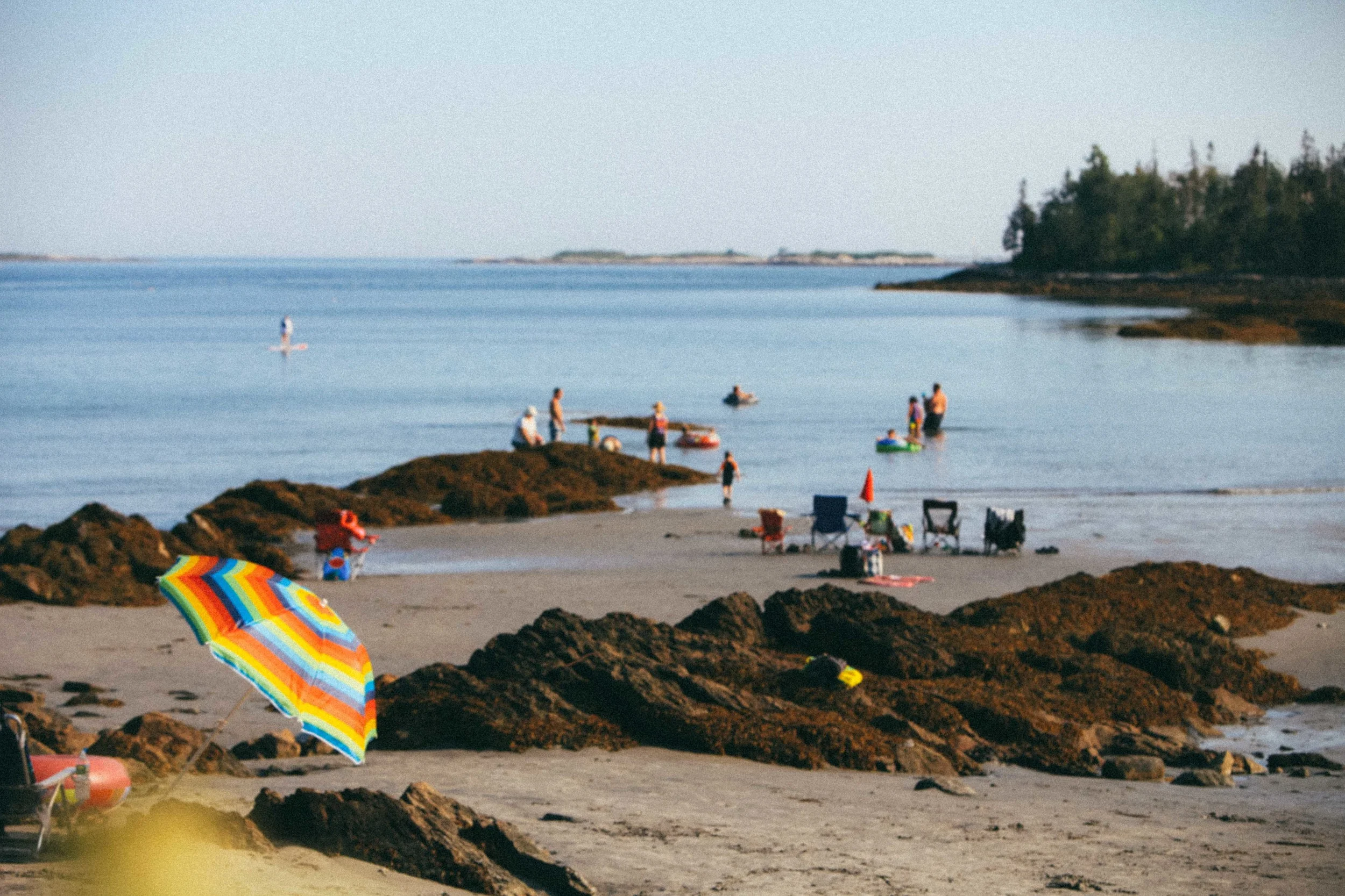 IMG_7692-2.jpg
