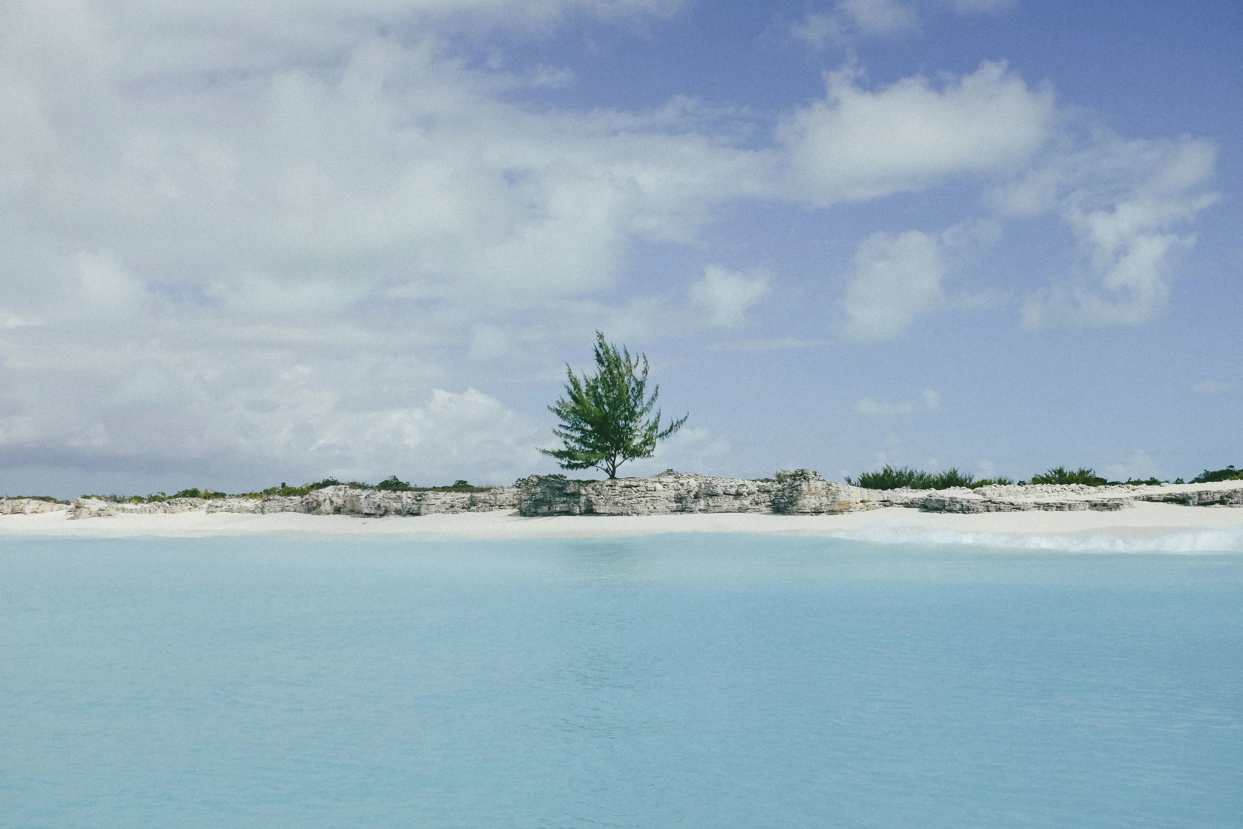 DSCF2237.jpg