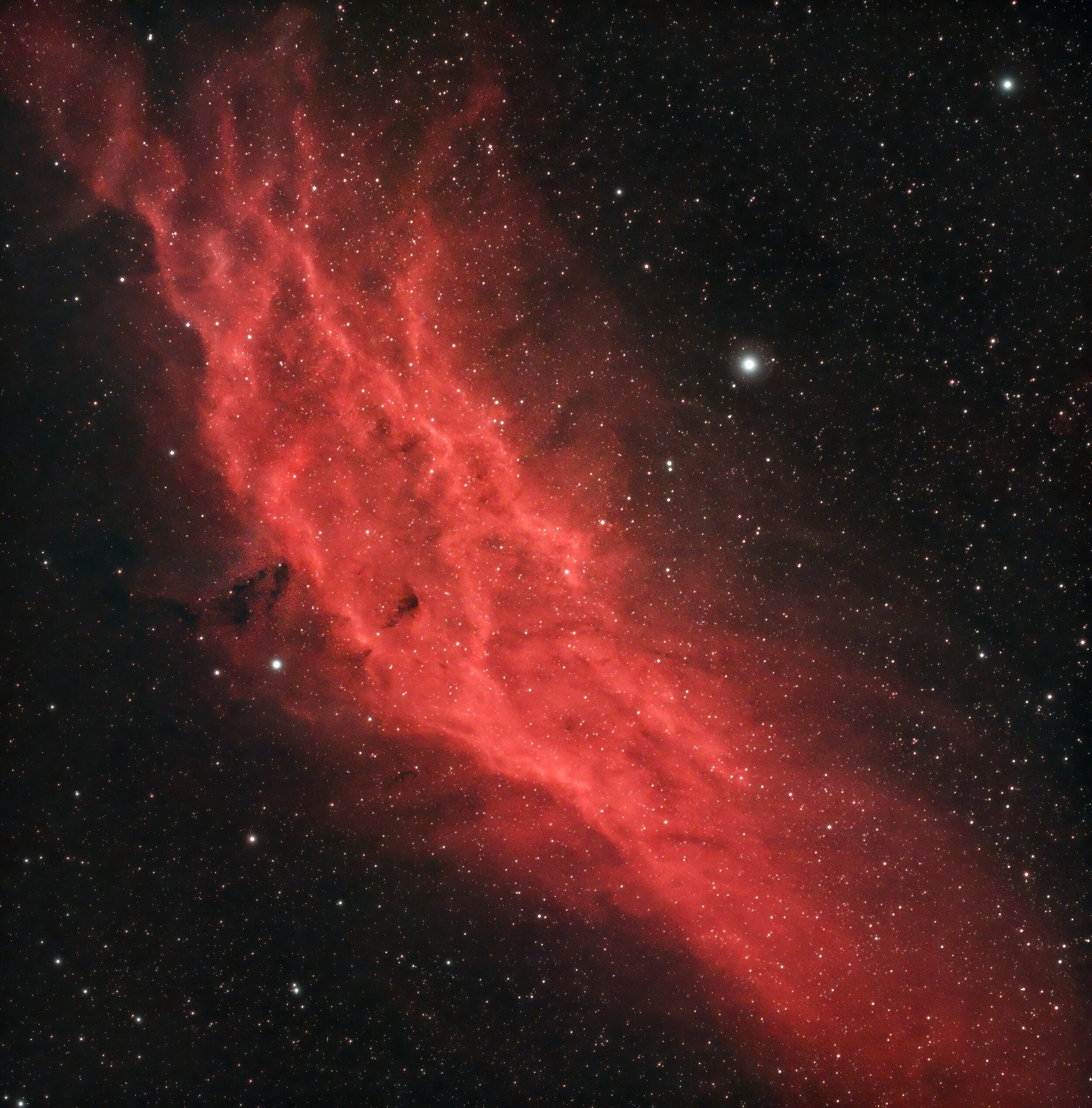  ngc1499/california nebula   [distance/age: 1500 light years] 