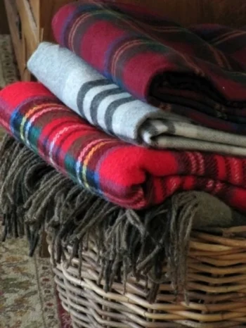 All plaid everything. Image Source: Pinterest