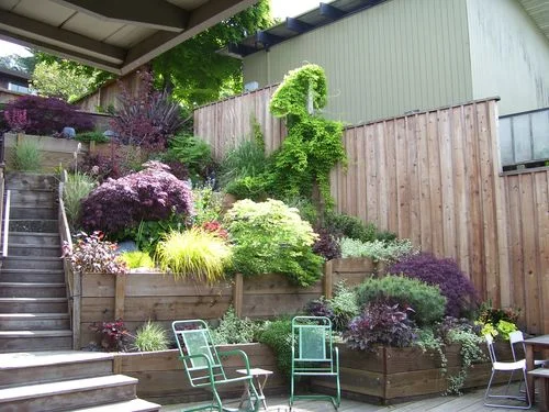 Green_Alchemy_Terraces01.jpg