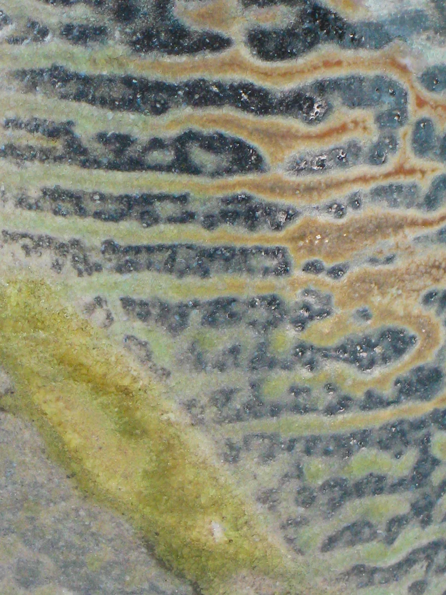 Nick Geankoplis-Web-Old work-13.jpg