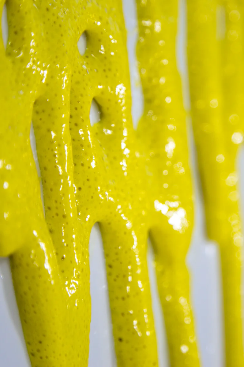 Nick Geankoplis-Web-Objects-5.jpg