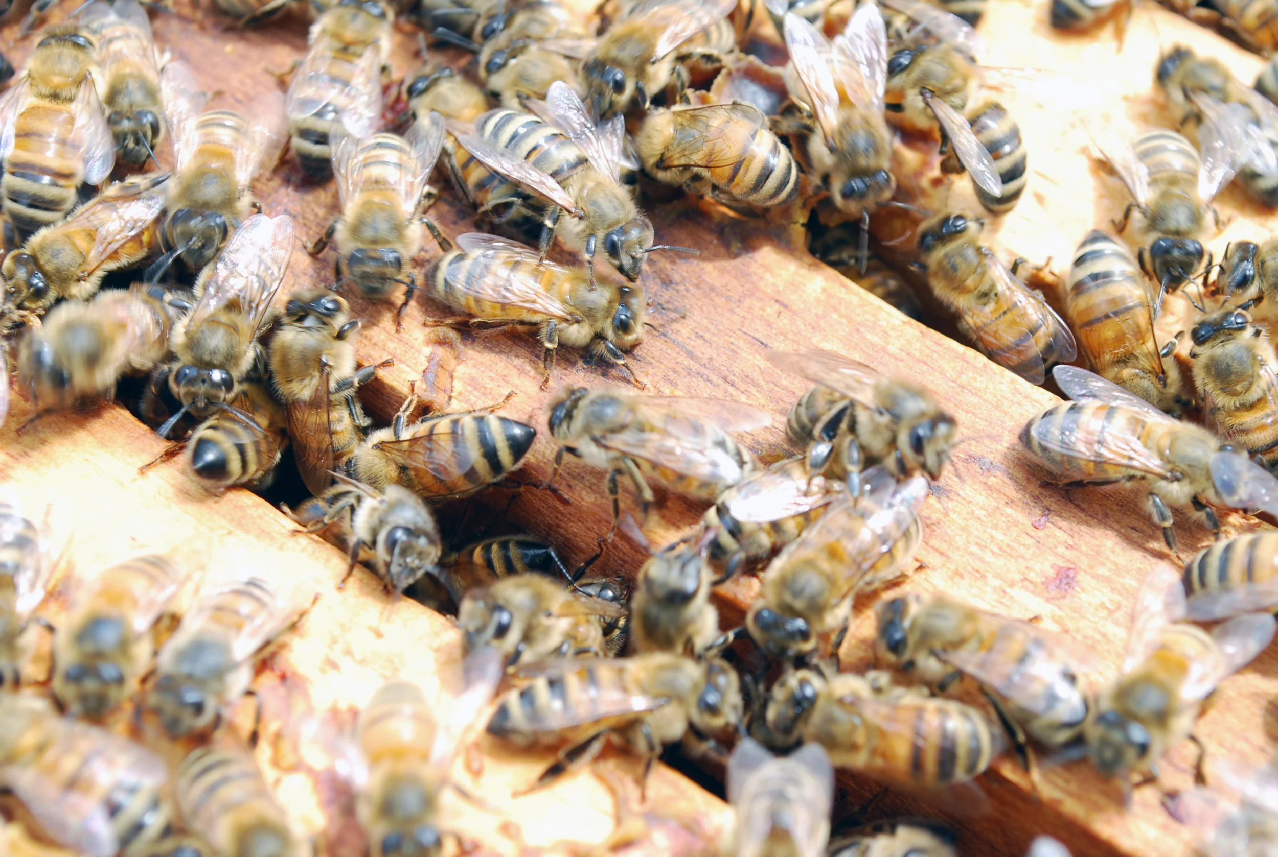 theNDC+-+CITY+HIVE+5.jpg