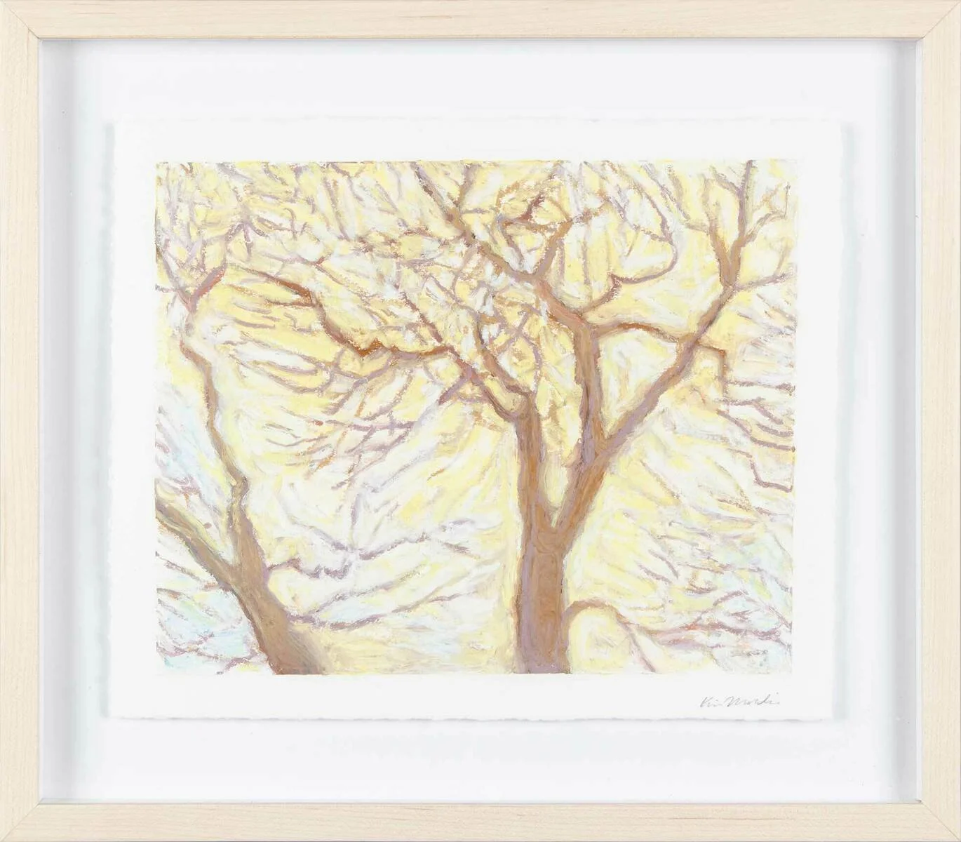 tree with lights 1.jpg