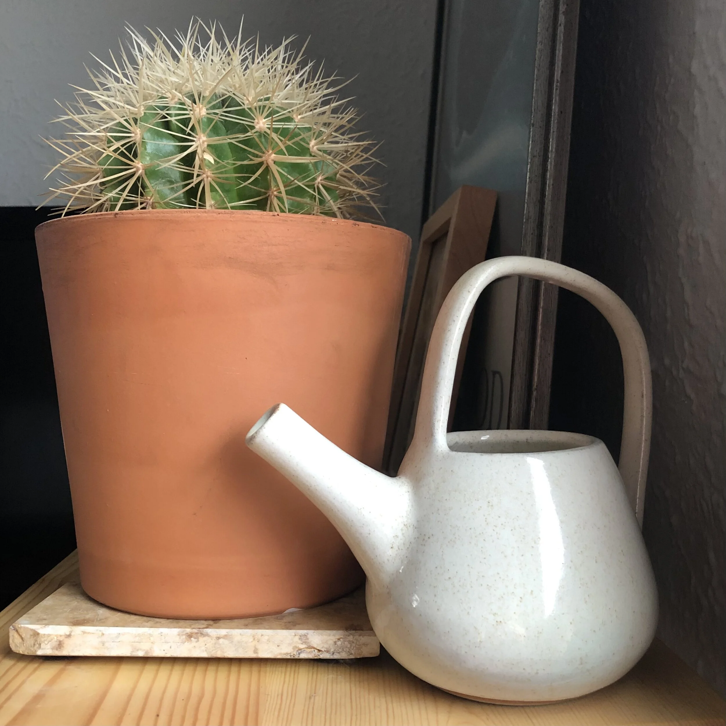 Small Watering Can