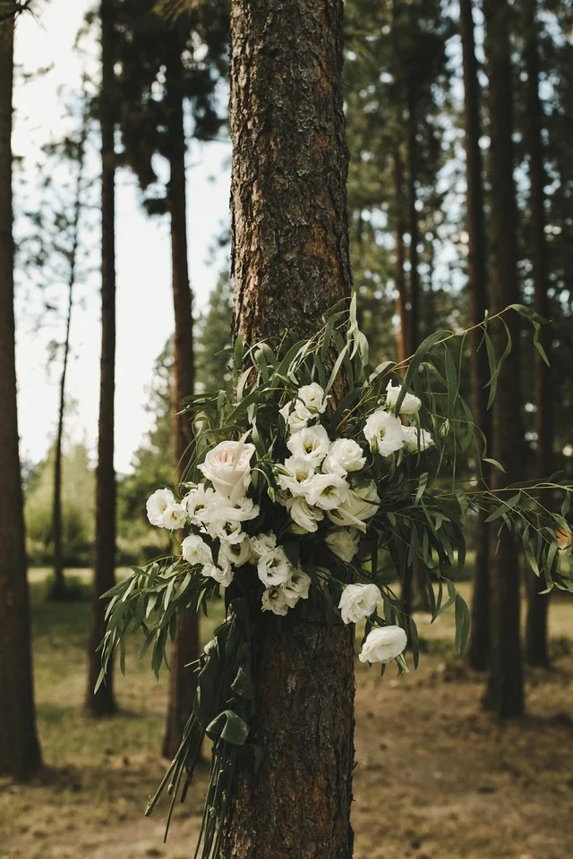 Katie+Sean-40.jpg