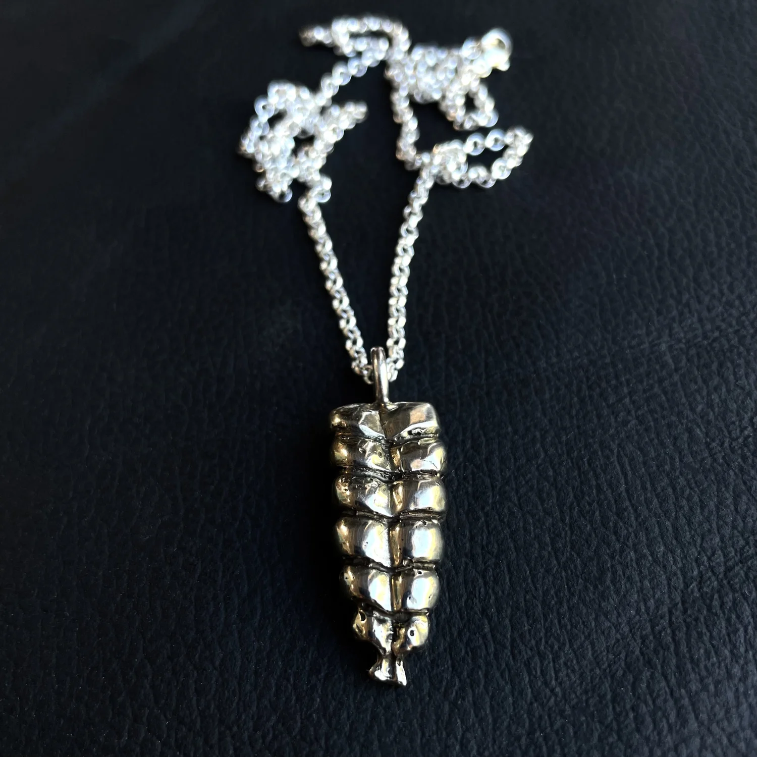 Rattlesnake Rattle Necklace