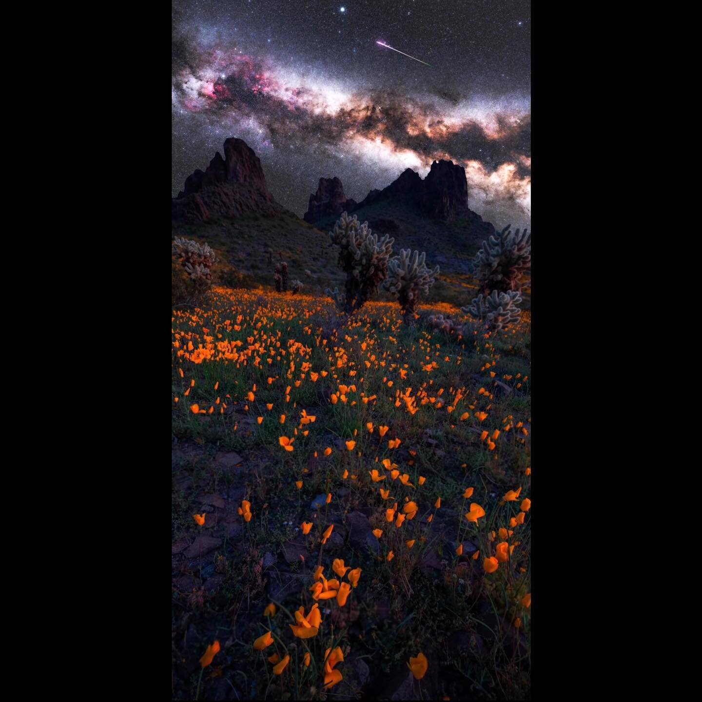 Zoom in. 
Can&rsquo;t stop thinking about this photo by @clanger_mcbanger @roycebairphoto showing Scorpius and the Milky Way churning above Picacho Peak, and the poppy superbloom this spring🥹