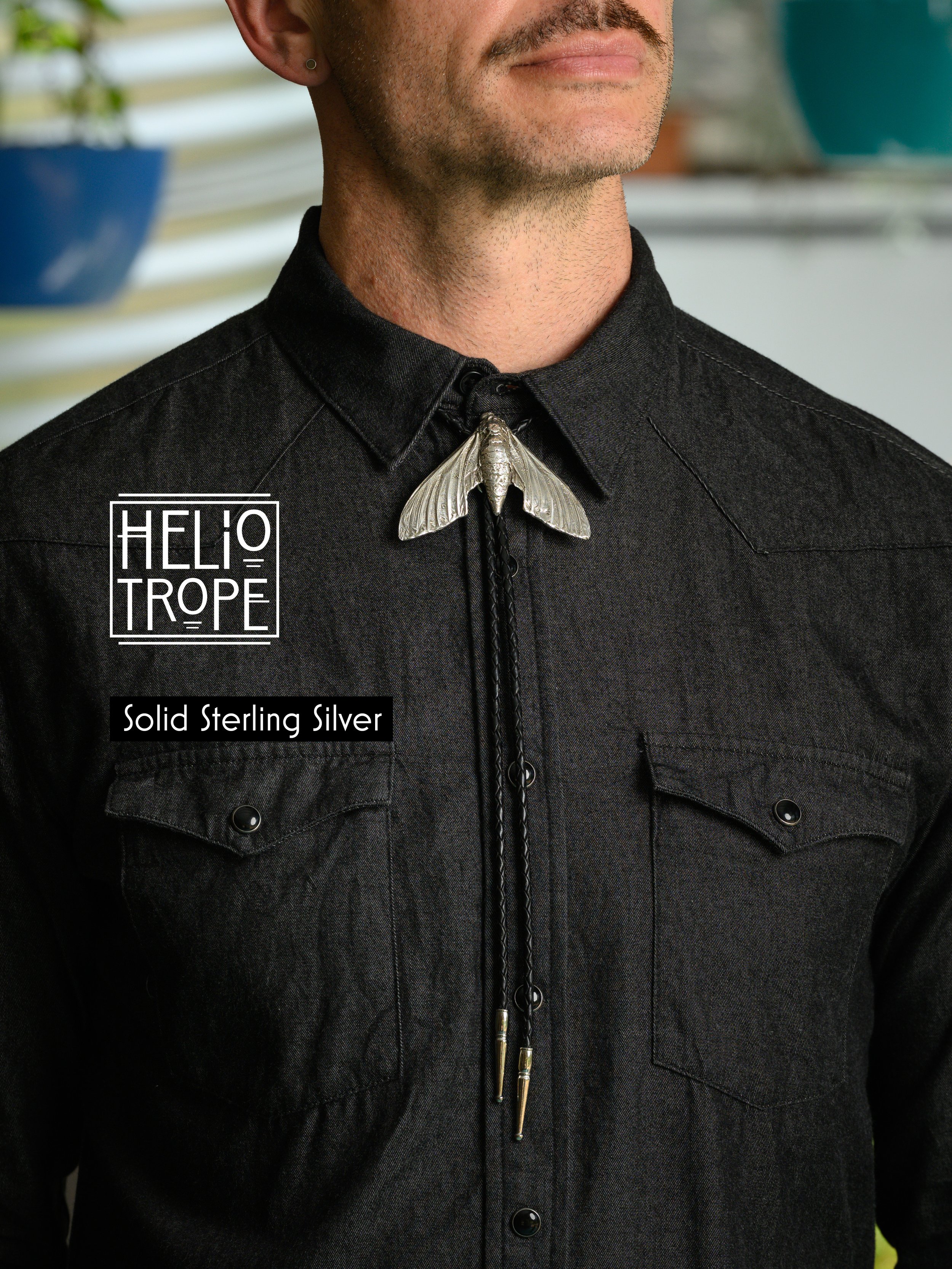 Moth - front - modeled - labeled - Heliotrope-Fall_2025_Images-Julius_Schlosburg-2025-09-18-194.jpg