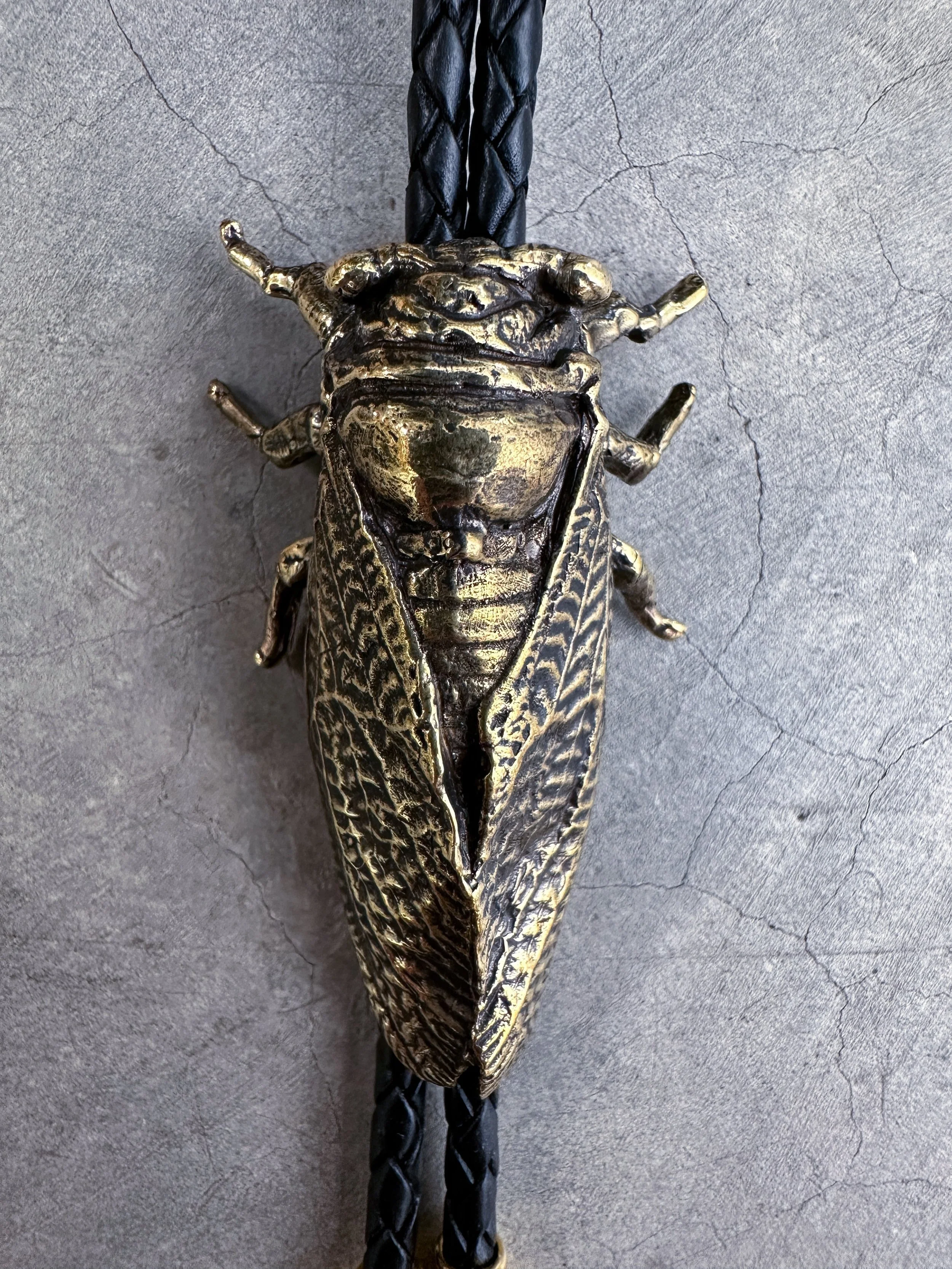Cicada Bolo Tie