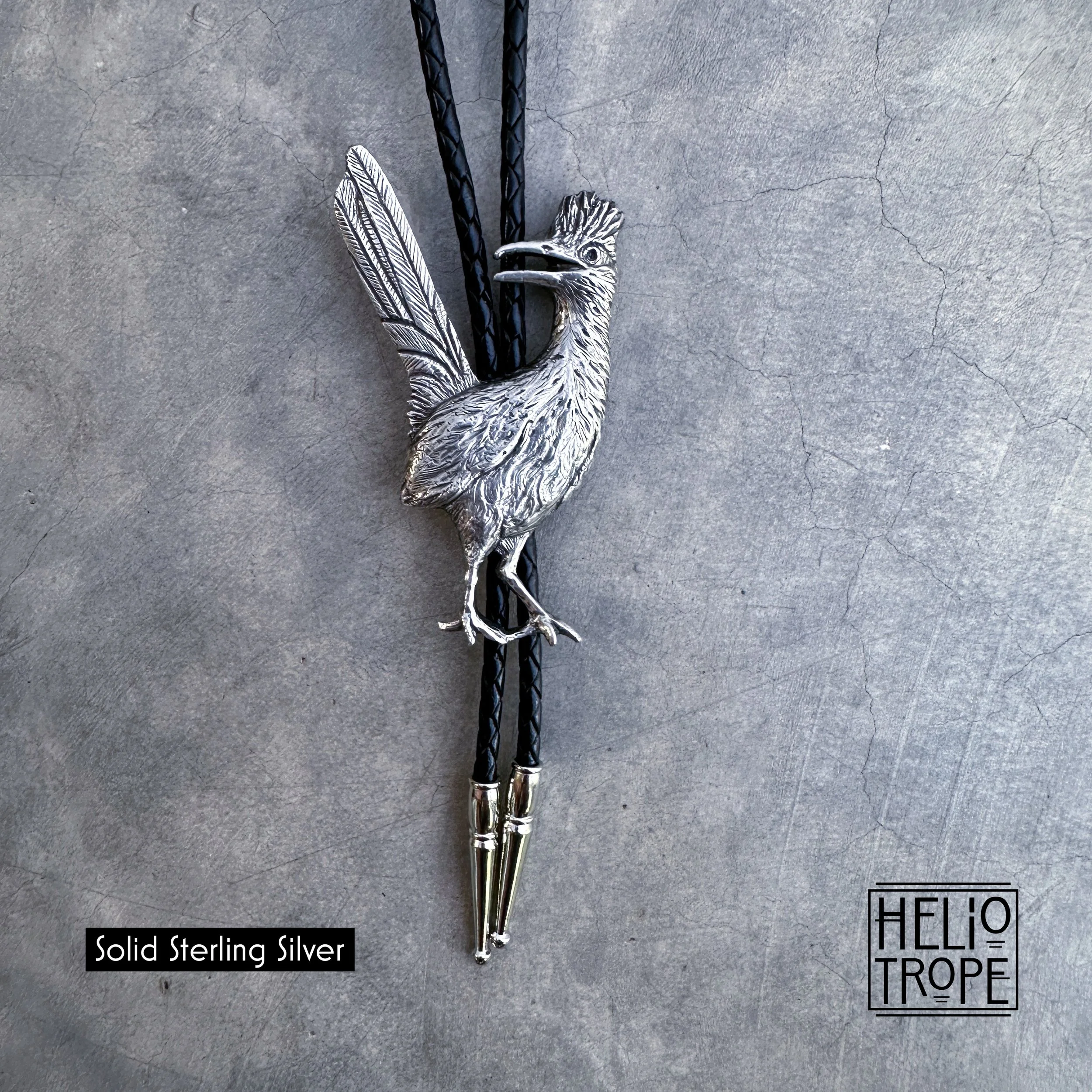 FullSizeRender_VSCO 19 roadrunner sterling.jpg