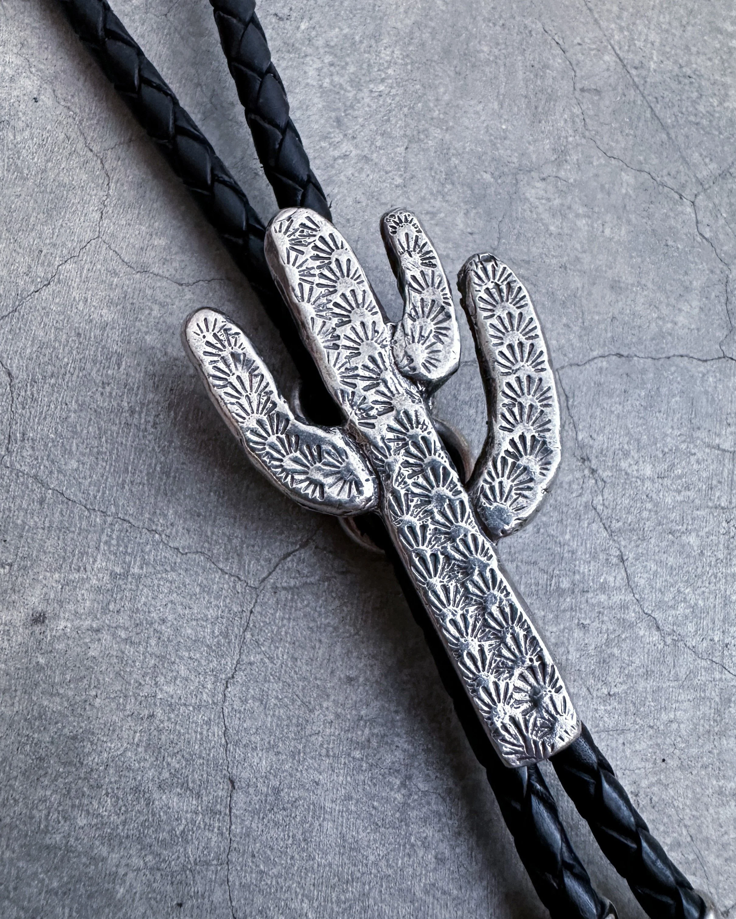 FullSizeRender_VSCO 29 saguaro black sterling NO LABELS.jpg