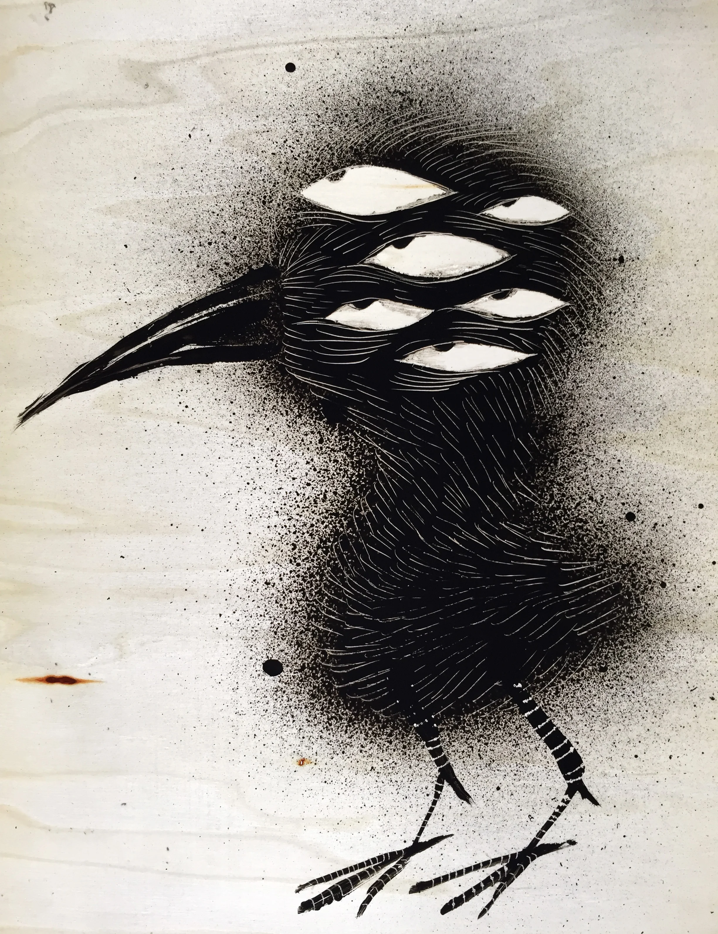 Blackbird (One in a series)