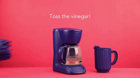 Animated GIF-downsized_large (7).gif
