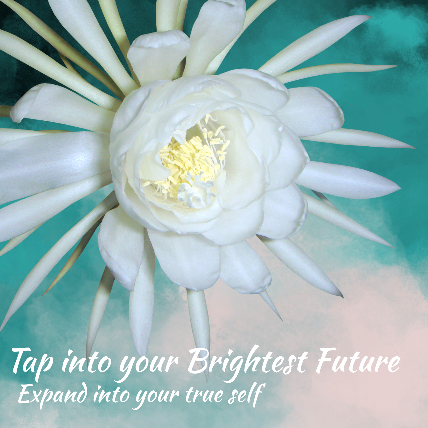 Tapping into your Brightest Future (Card (Square)).png