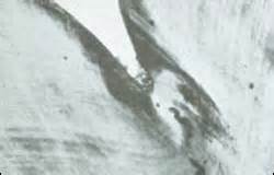 Fig 2. A longitudinal section of a fissure.