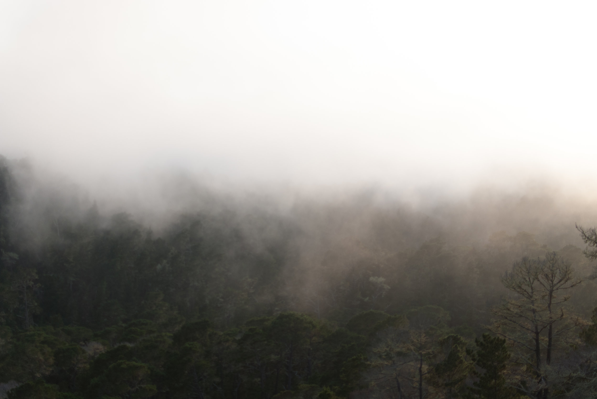 _DSC0136.jpg