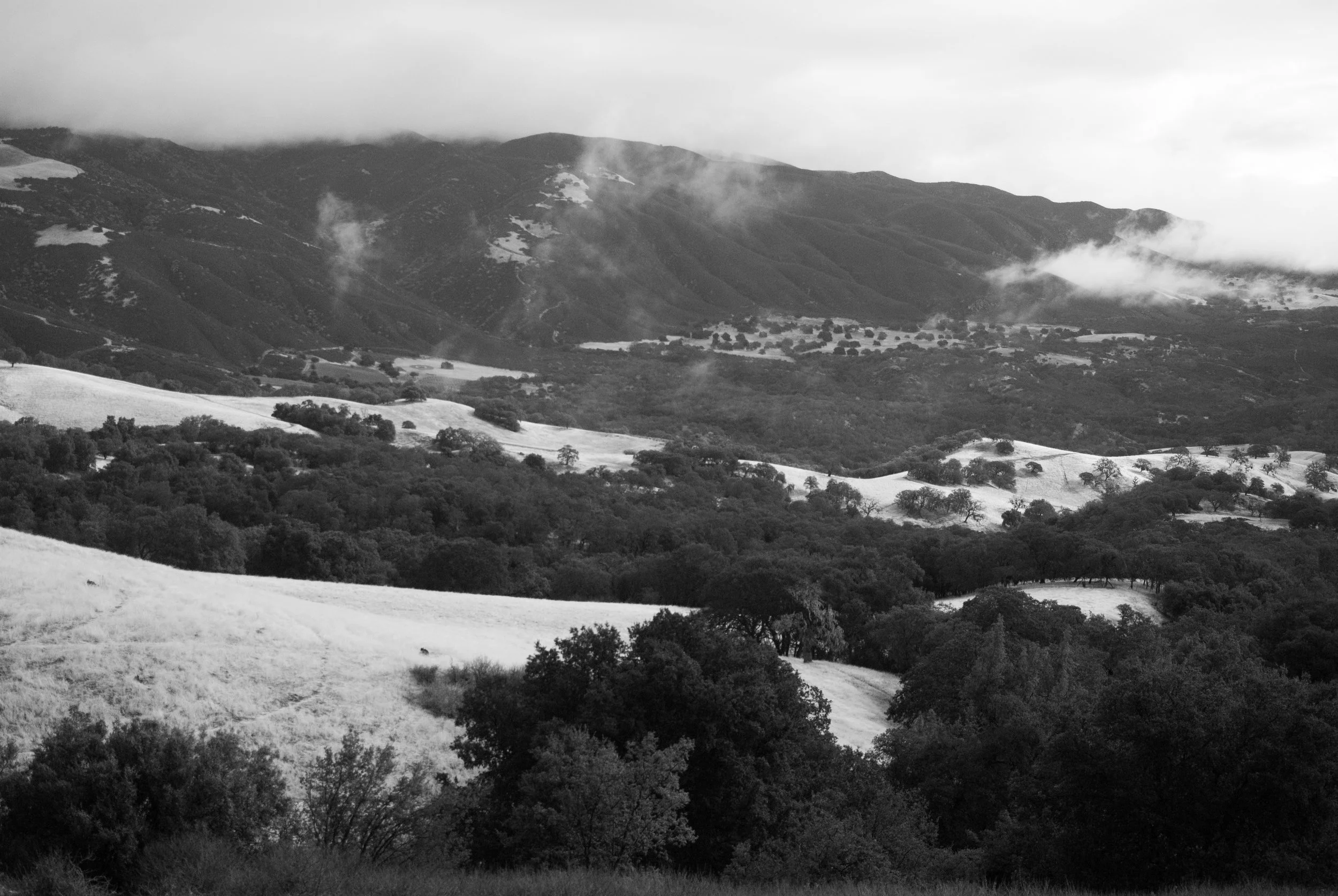 _DSC0238.jpg