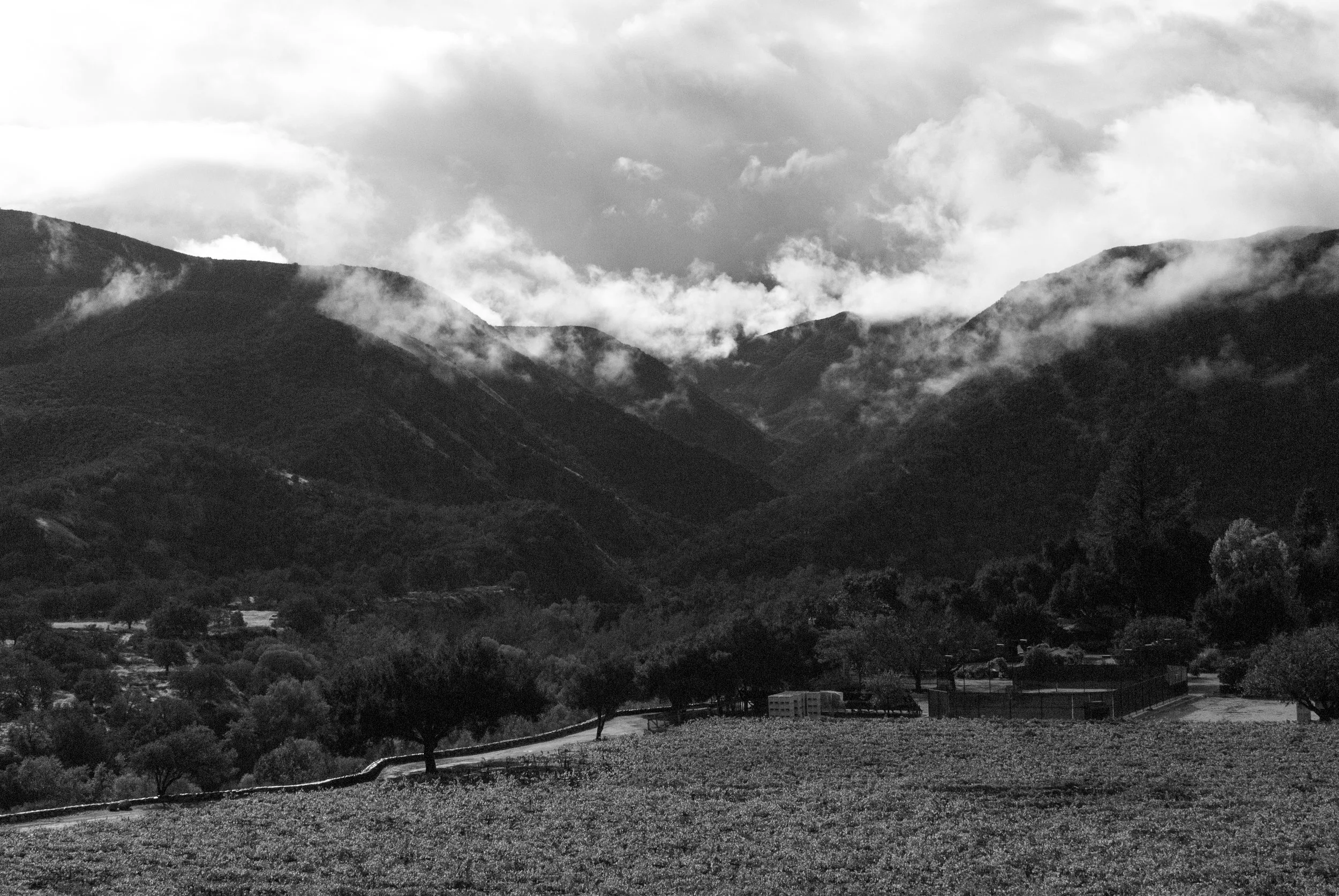 _DSC0265.jpg