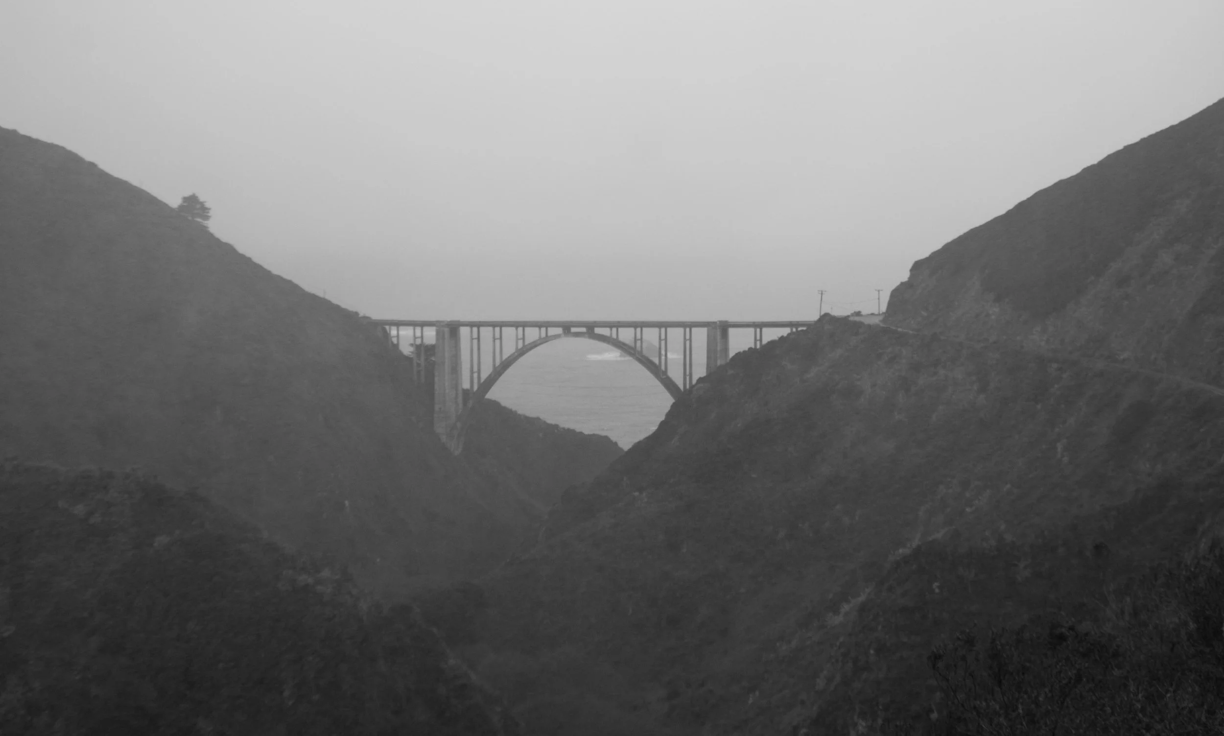 _DSC0275.jpg