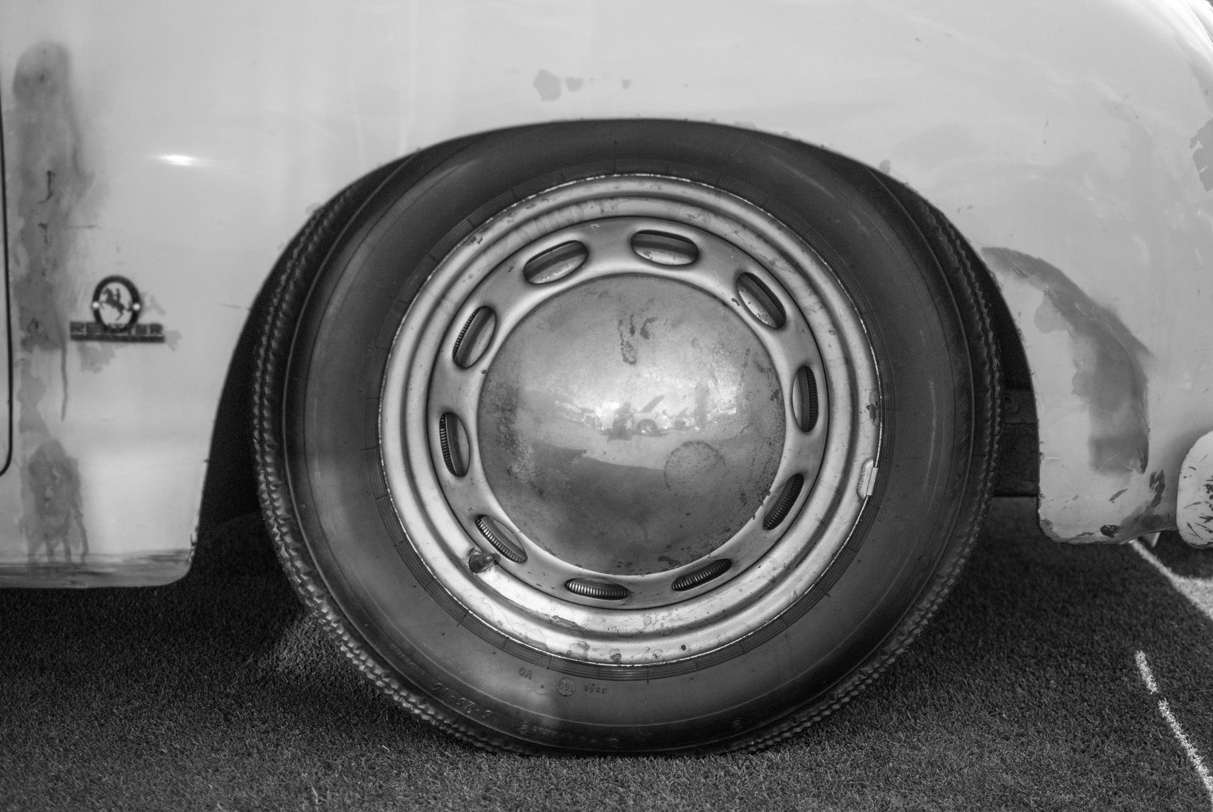 _DSC0312.jpg