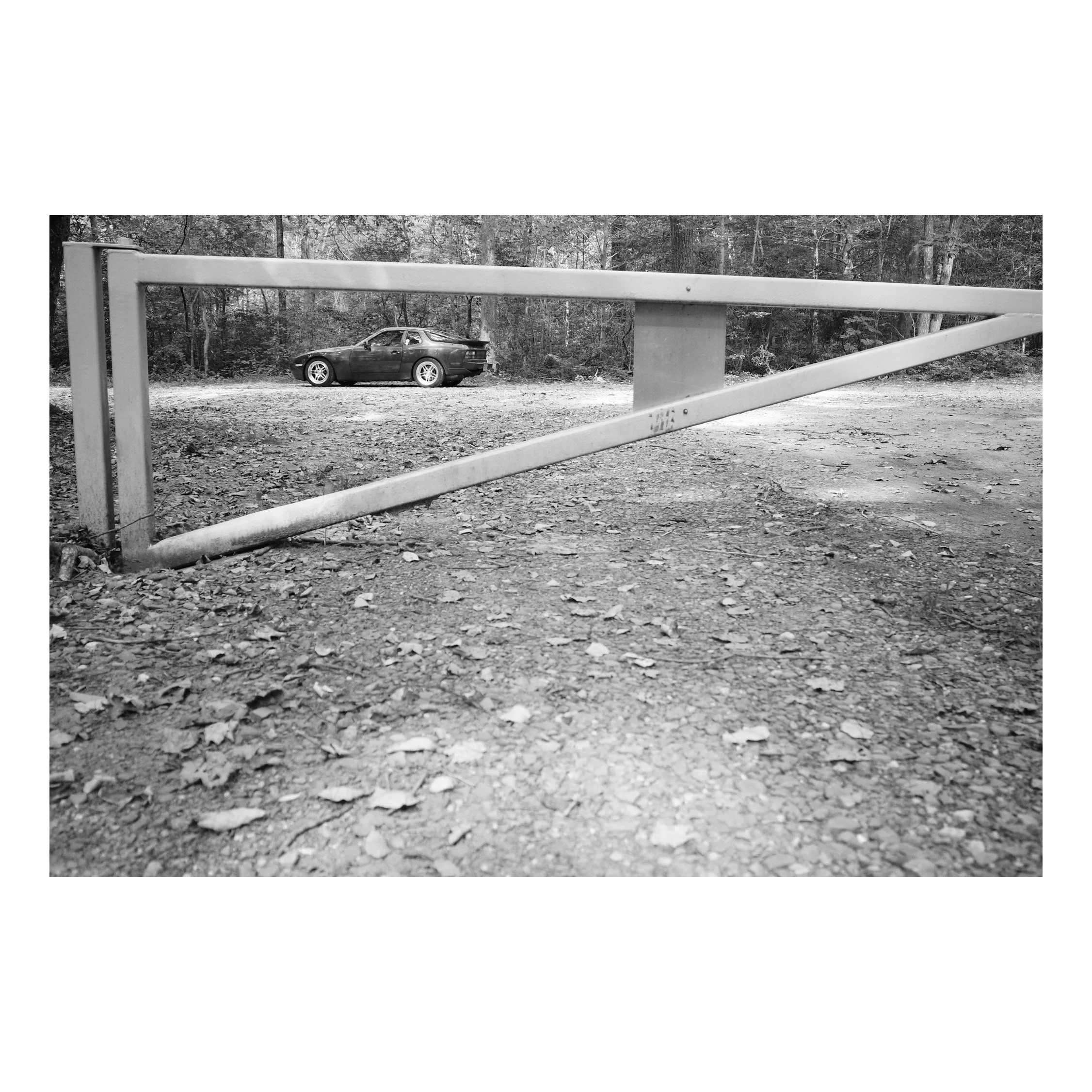 IMG_3844.jpeg