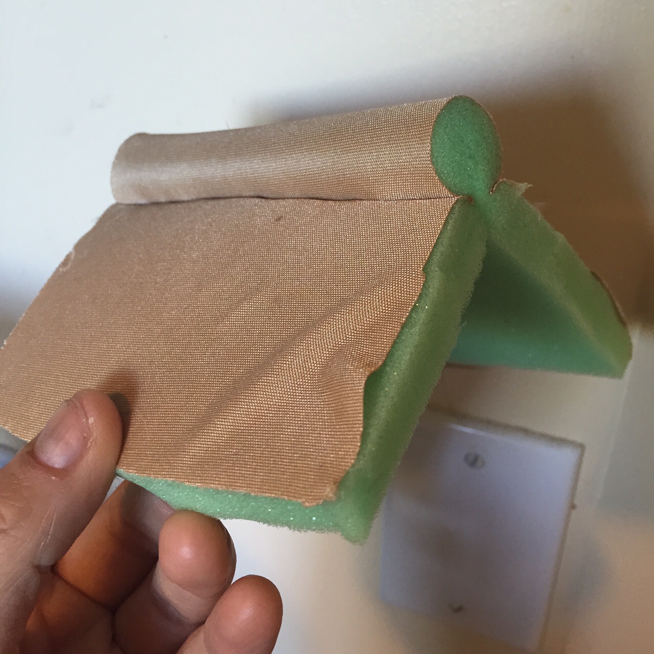 Cross-section of a segment. 