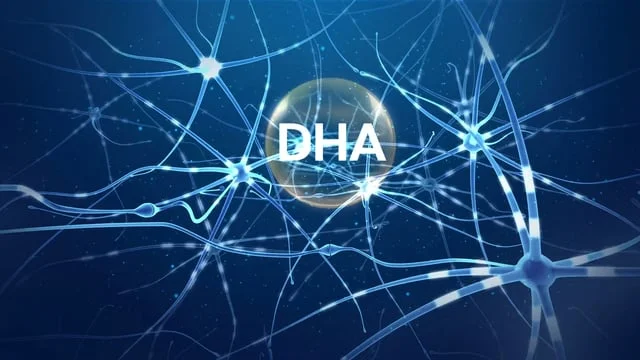 Enfa Brain DHA 26-08-16 2