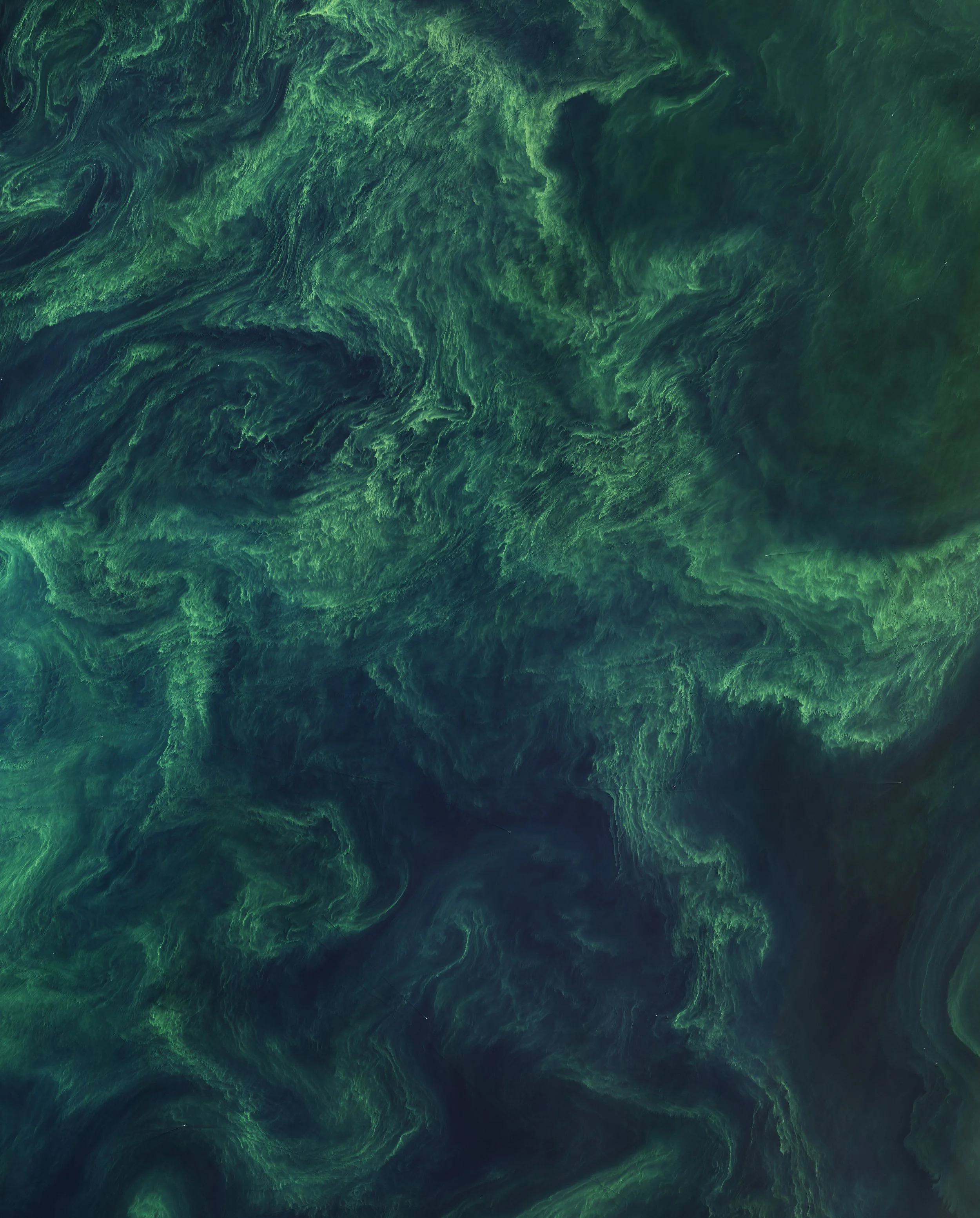 Free Sample Analysis: Send 2 Samples