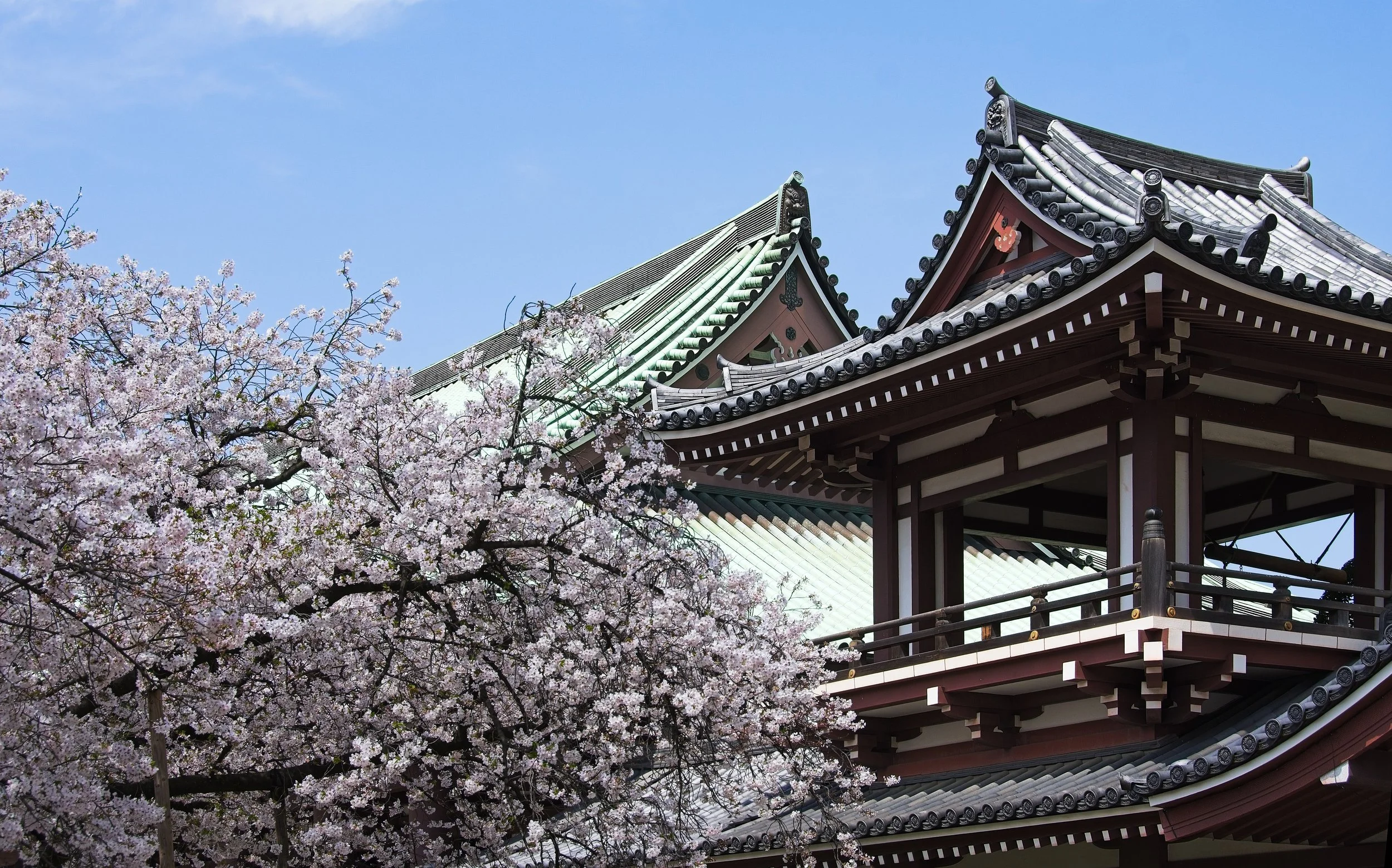 DAY TRIP TO FUKUOKA