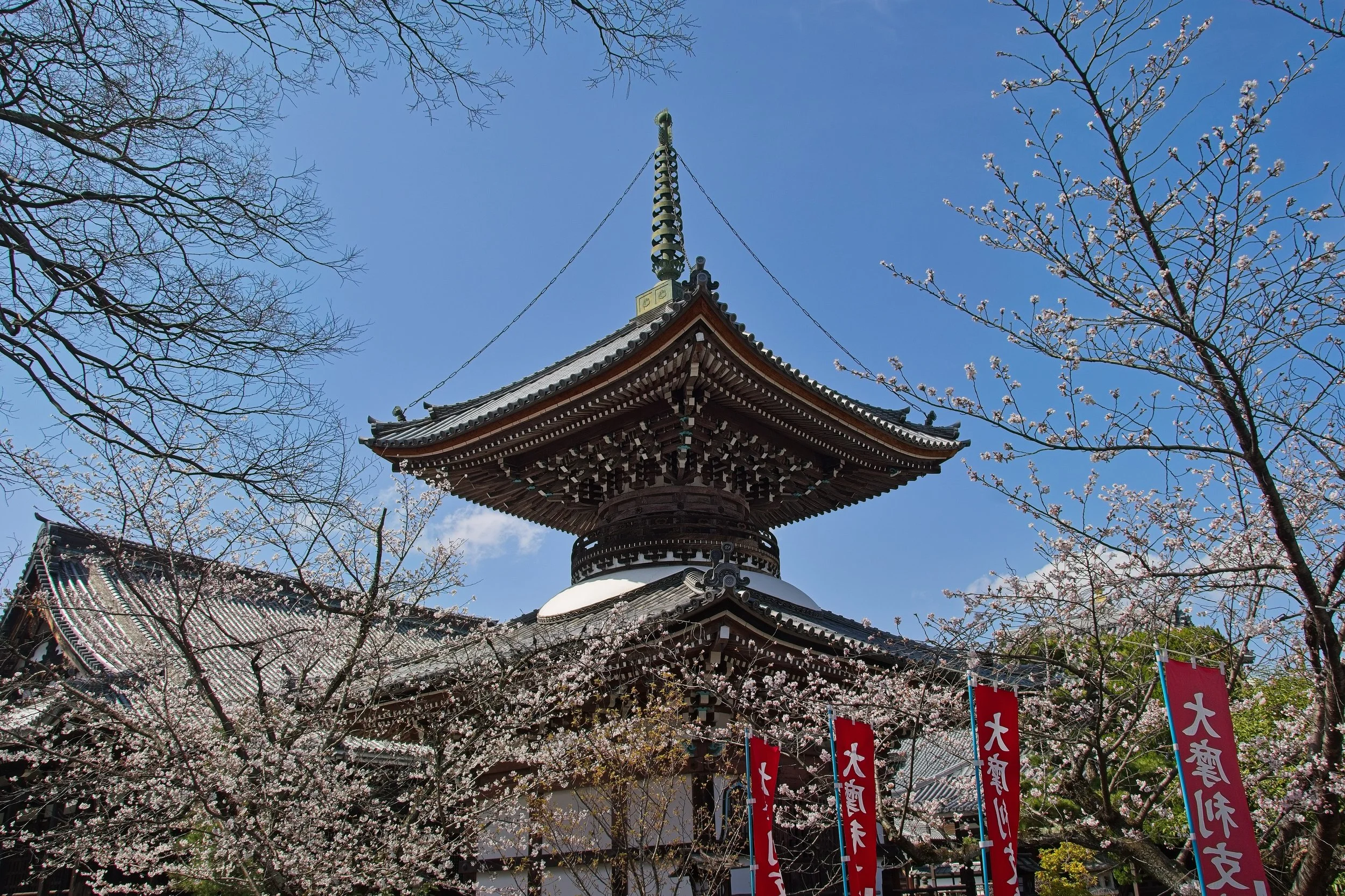 KYOTO MICRO-TRIP : MARCH 2026
