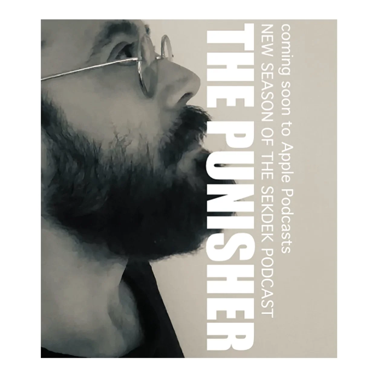 punisher cover.jpg