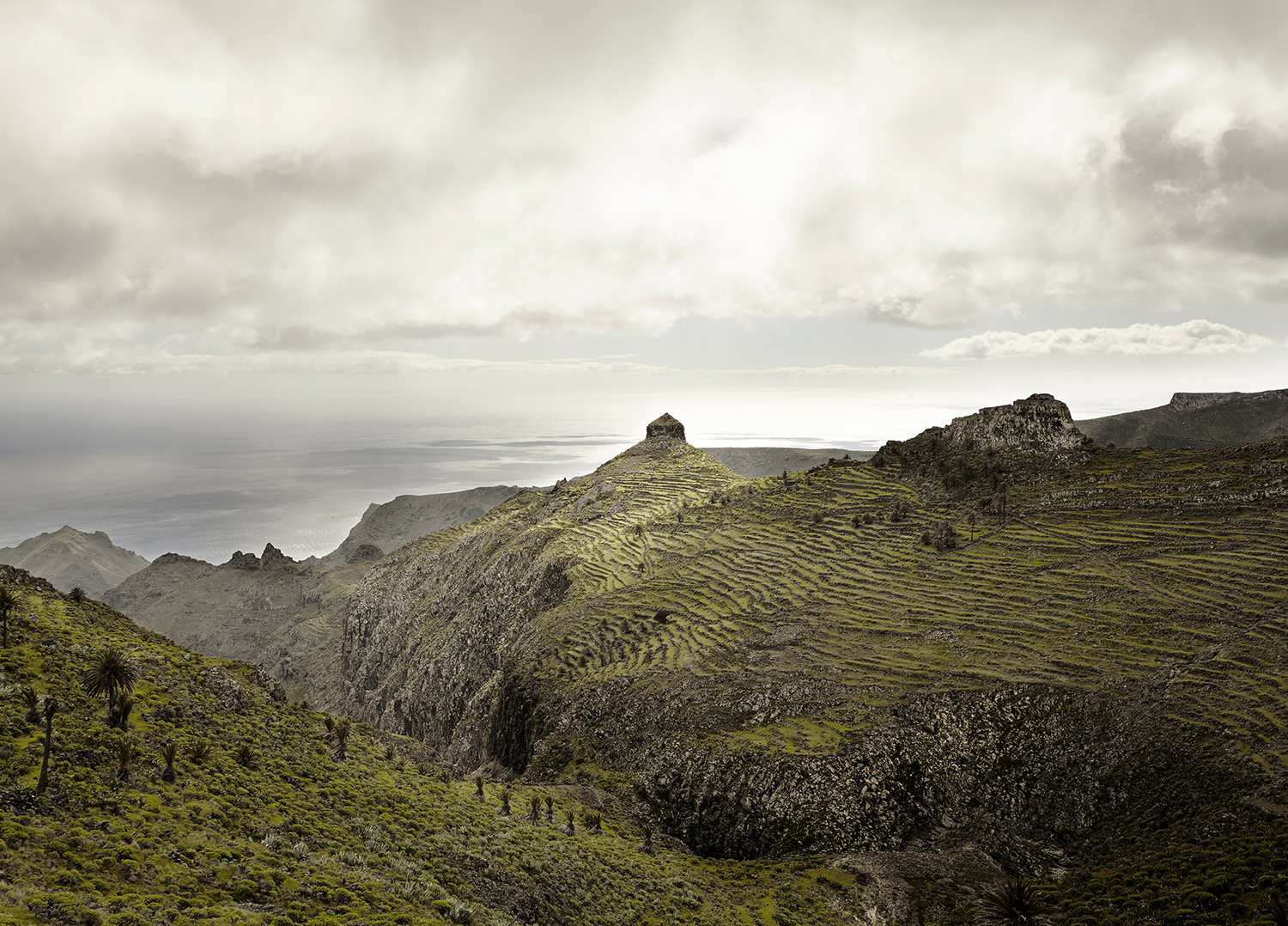 La Gomera, 2014