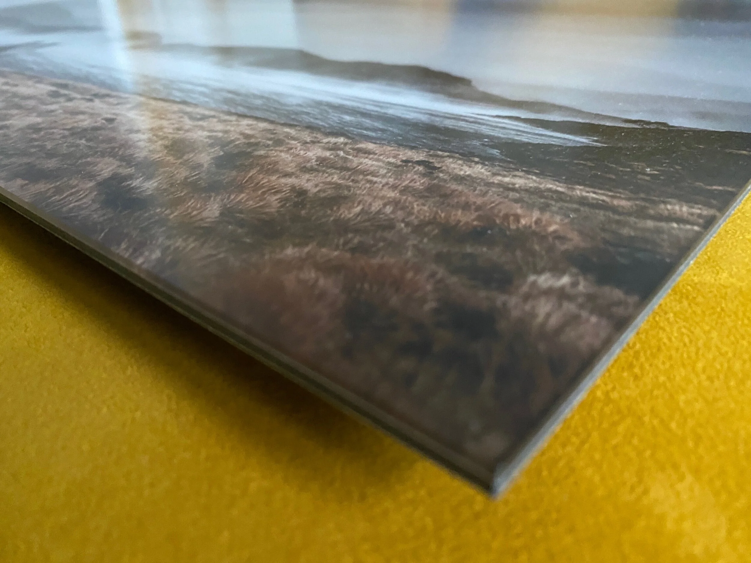 D47CD7CA-05A3-4F1A-AB4F-47C19E3D178A