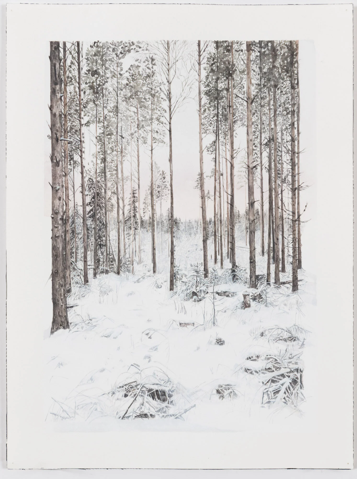 Untitled: Study of Haukijärvi dawn