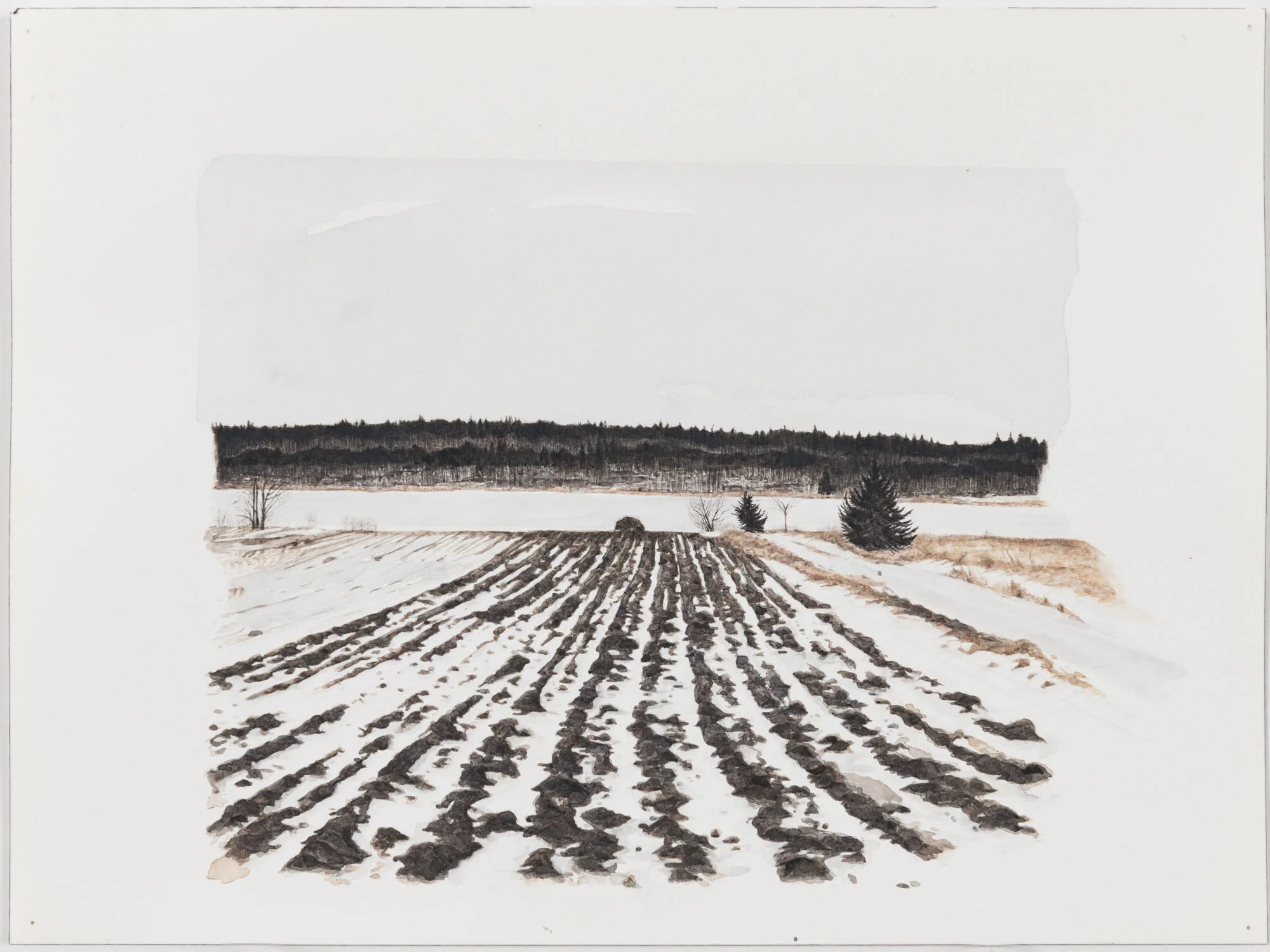 Untitled: Study of Haukijärvi field