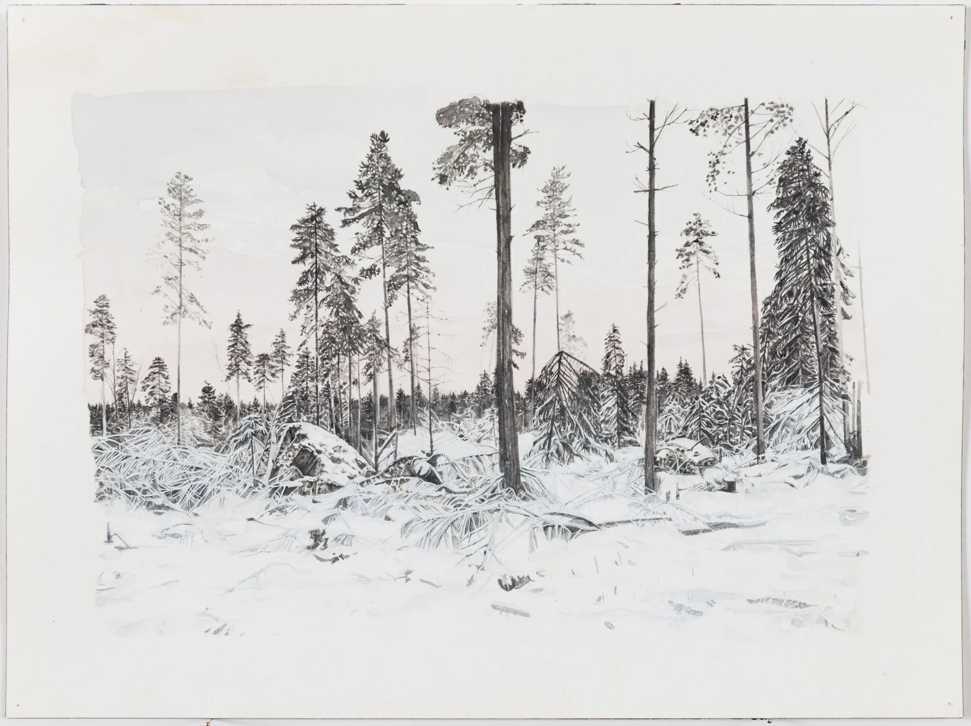 Untitled: Study of Haukijärvi dawn