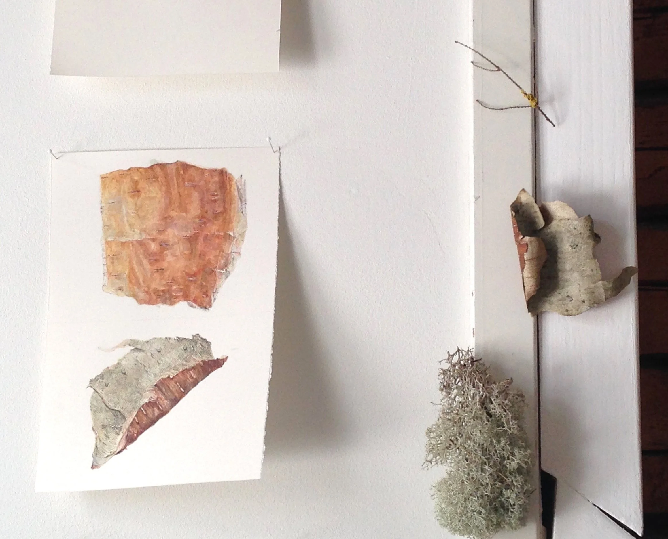watercolour studies and gleanings in the Arteles studio 