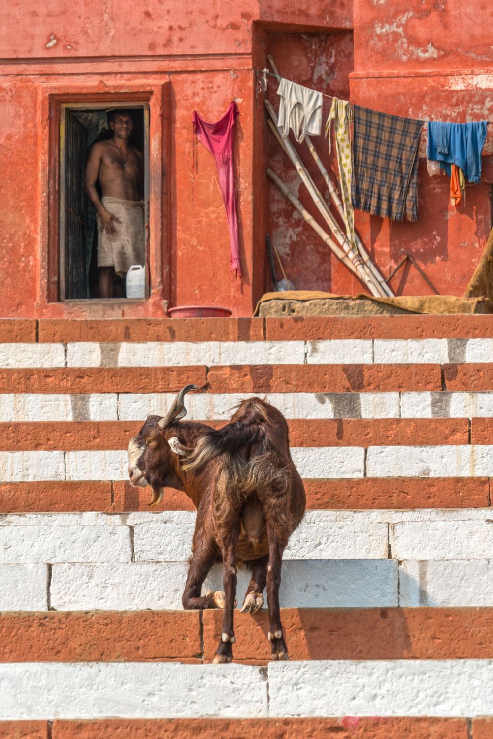 Varanasi-1599-Edit.JPG