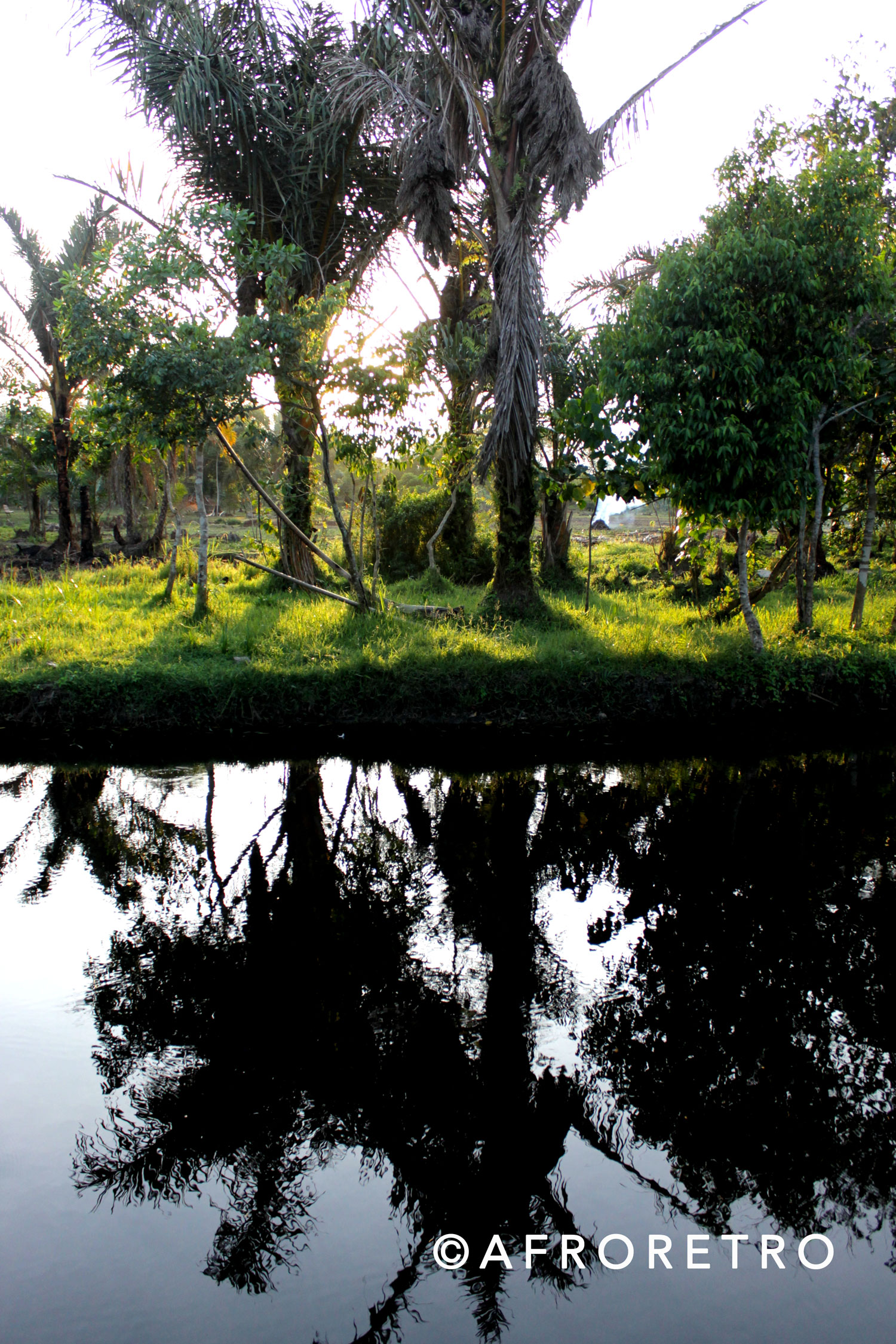 mirror-image-copy.jpg